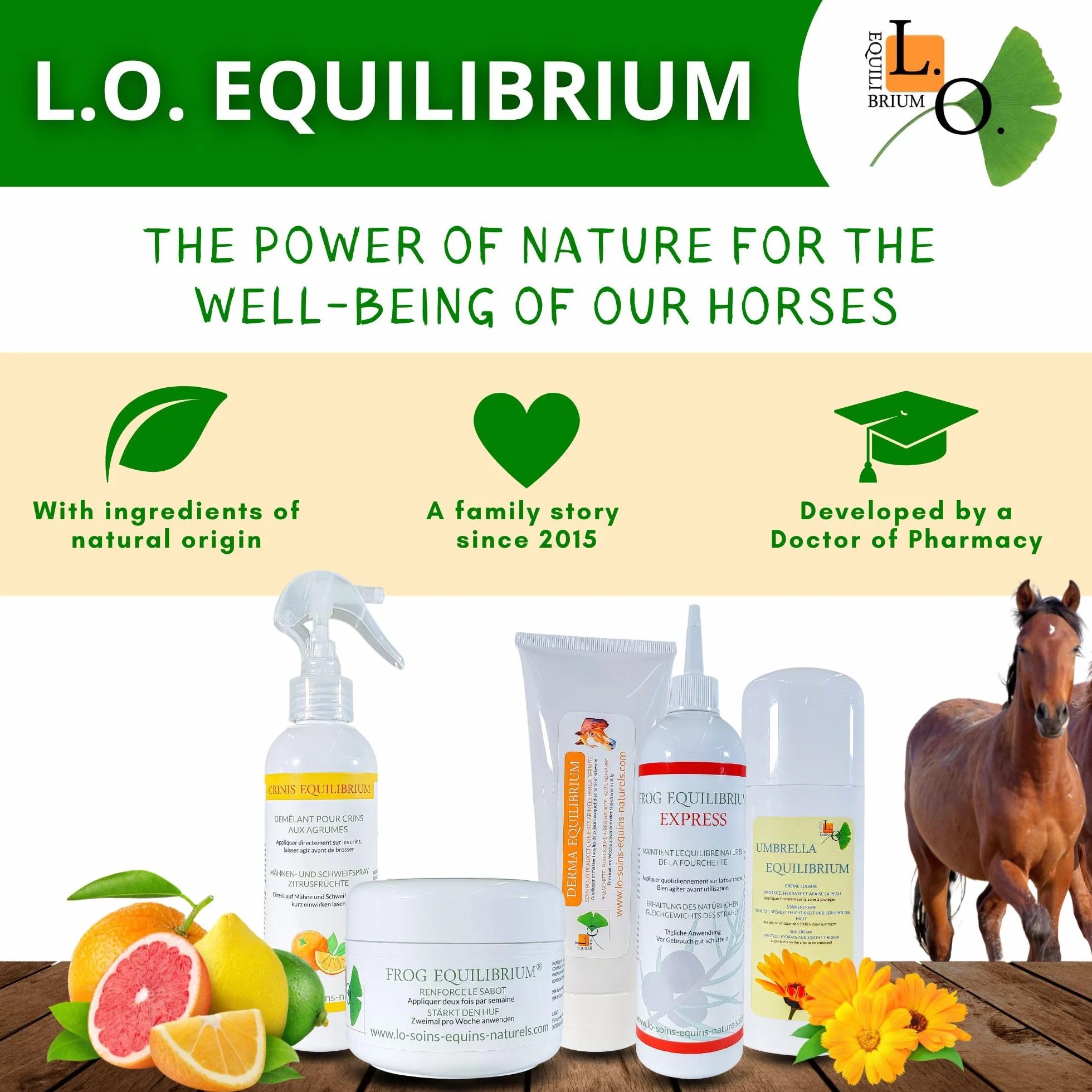 Hydra Equilibrium - Soin, graisse, onguent naturel hydratant pour cheval (sabot sec et cassant) (Hydra Equilibrium 500mL)