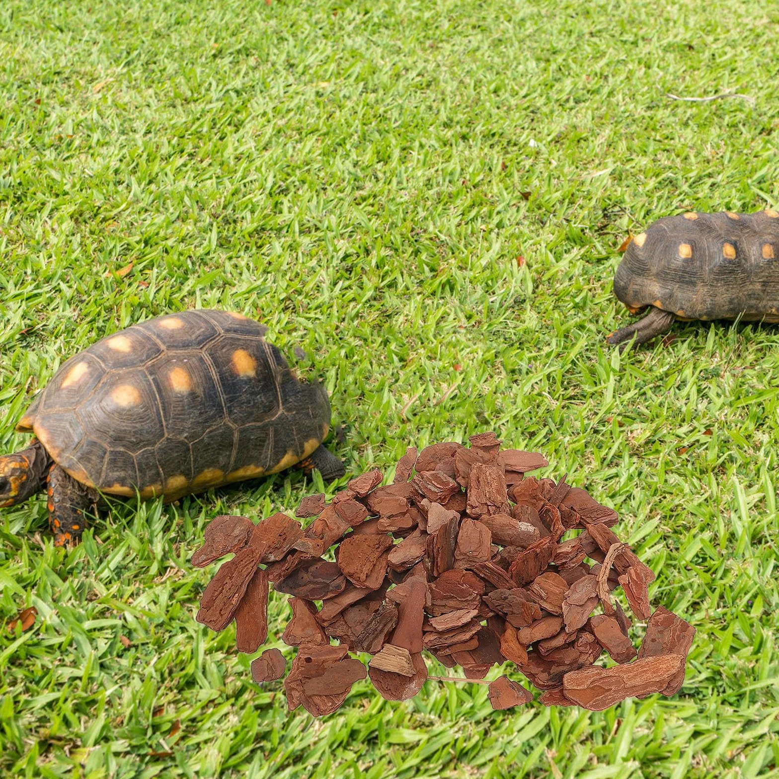 Copeaux d'Écorce de Reptile pour Vivarium Tortue Lézard Litière Naturelle