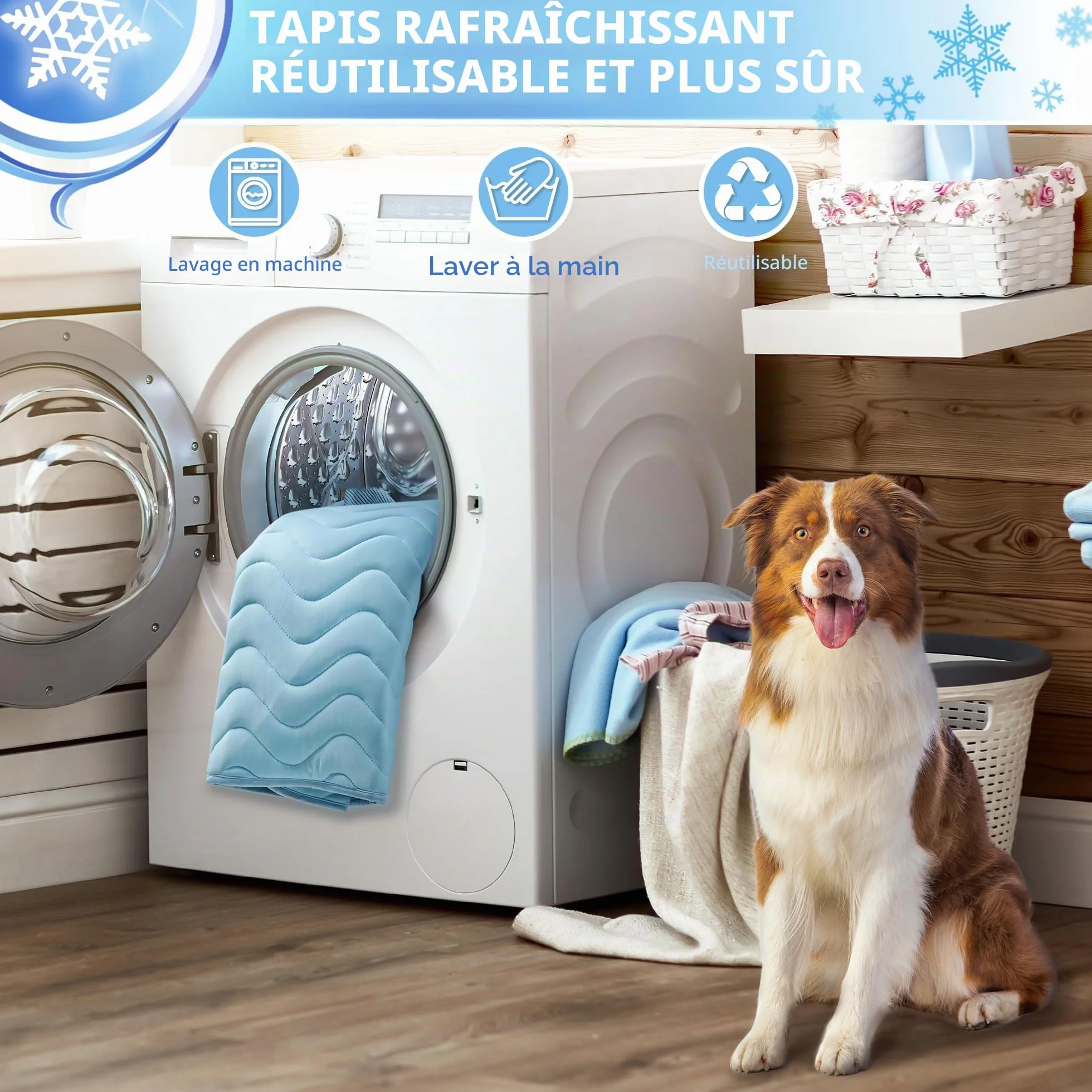 BaoDan Tapis Rafraichissant Chien Chat 75x50cm Soie Glacée Respirant Lavable Bleu