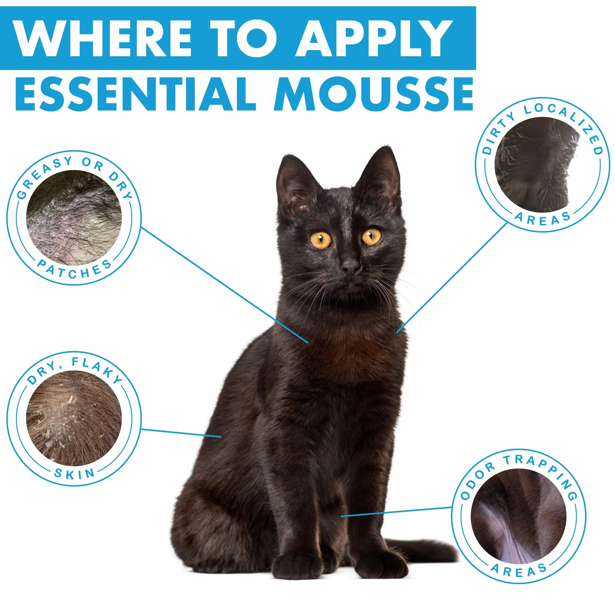 Dermoscent Essential Mousse pour Chat 150 ML Soin Nettoyant Protecteur sans Rinçage