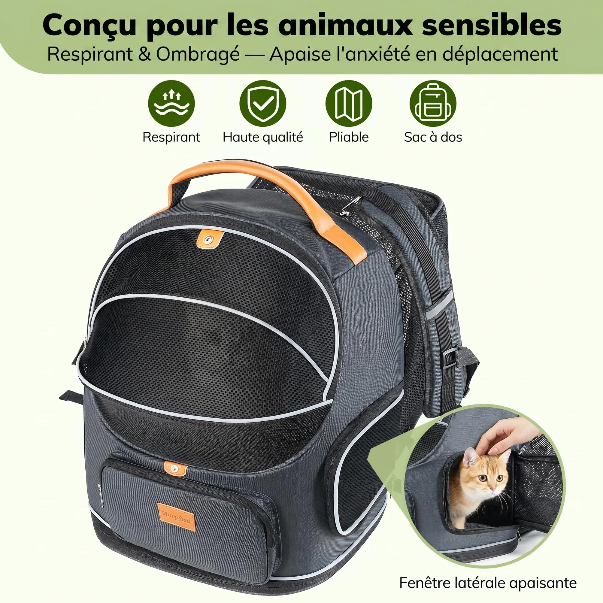 Morpilot Sac Transport 102% Extensible pour Chien avec Peluche Amovible Et Laisse De Sécurité Intérieure Sac à Dos Pliable pour Chat pour Train/Voiture/Voyage