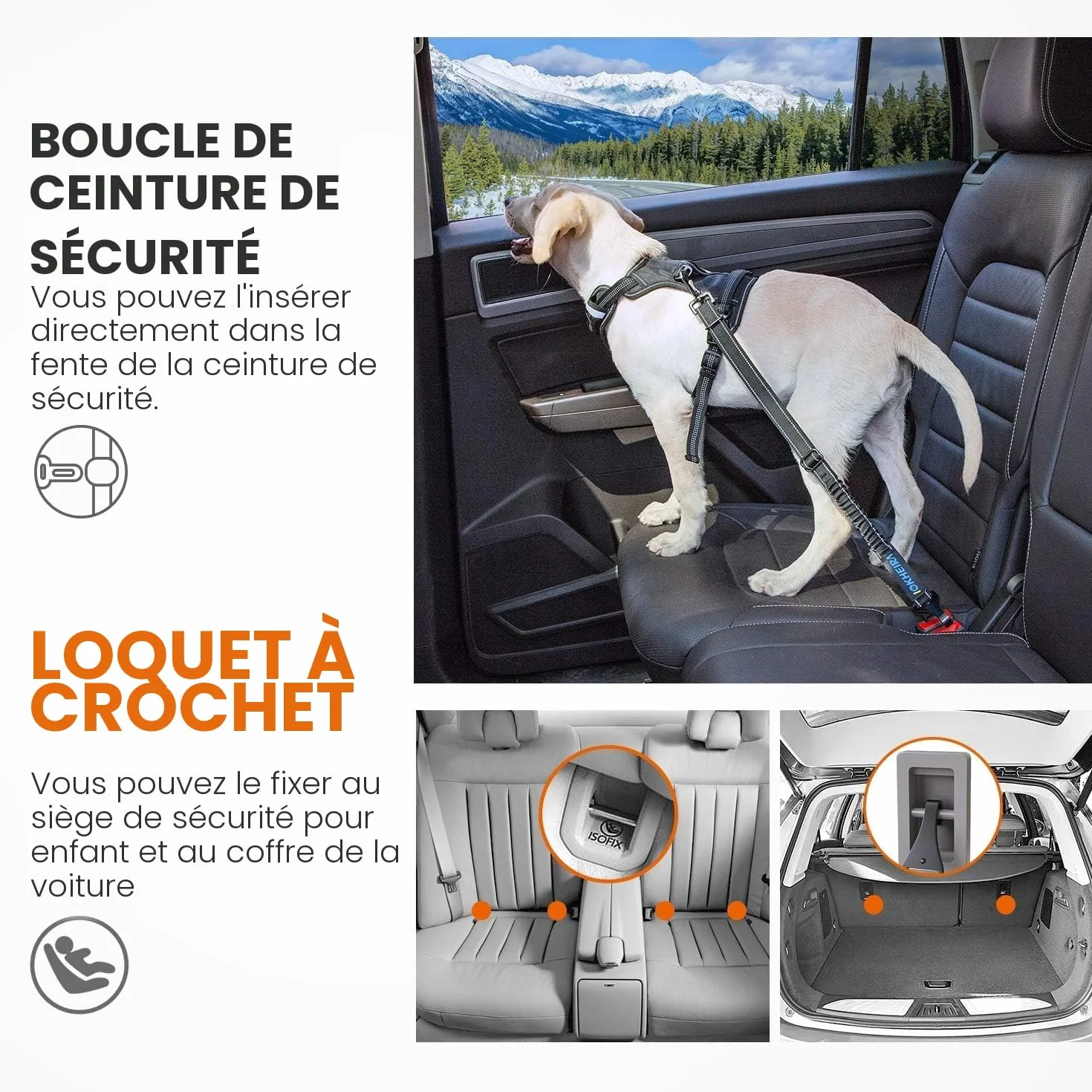 IOKHEIRA Ceinture Sécurité Chien, Harnais Voiture Réglable Nylon Durable Antichoc pour Chien Chat