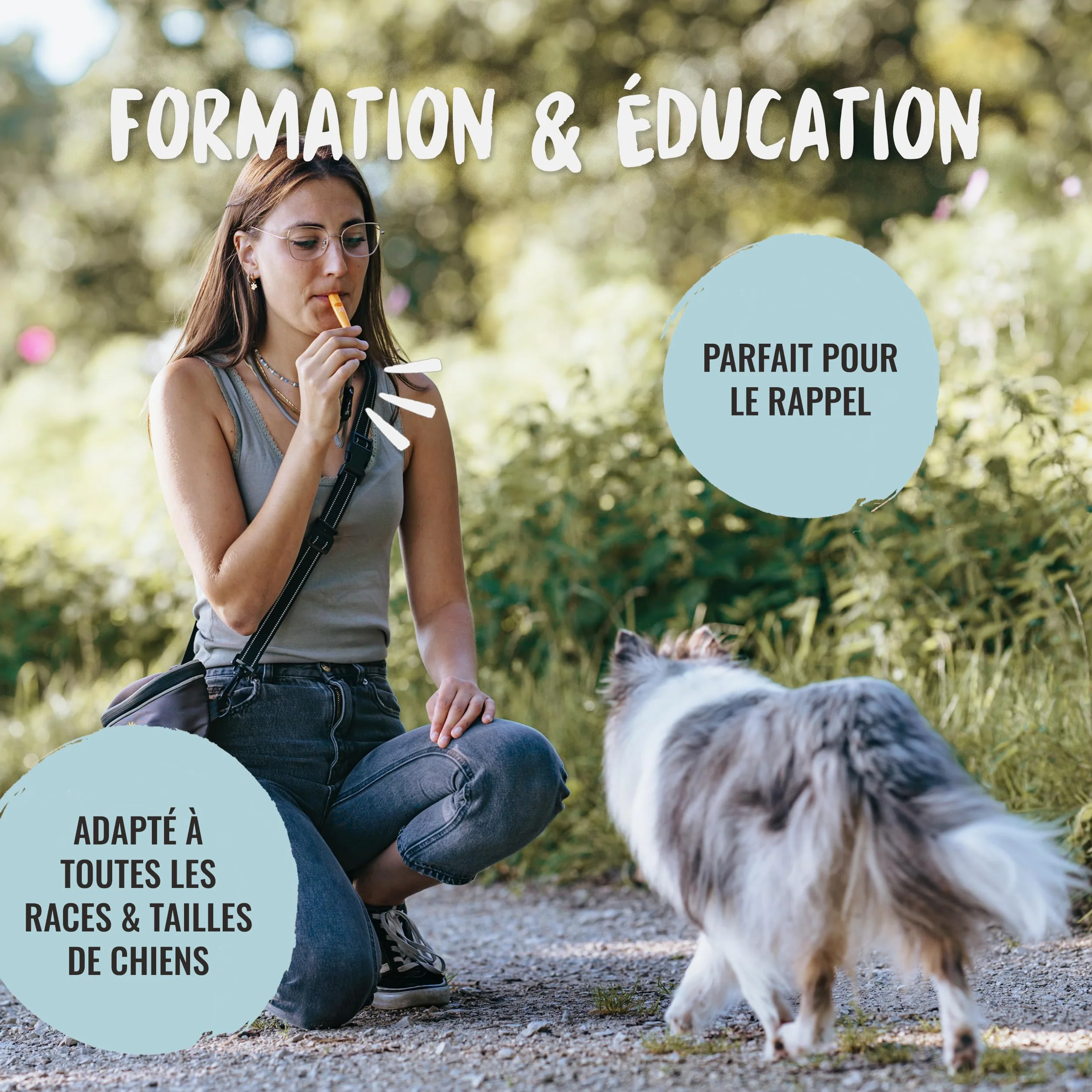 Rudelkönig Sifflet Chien Rappel Professionnel - Outil de Dressage pour Éducation Canine