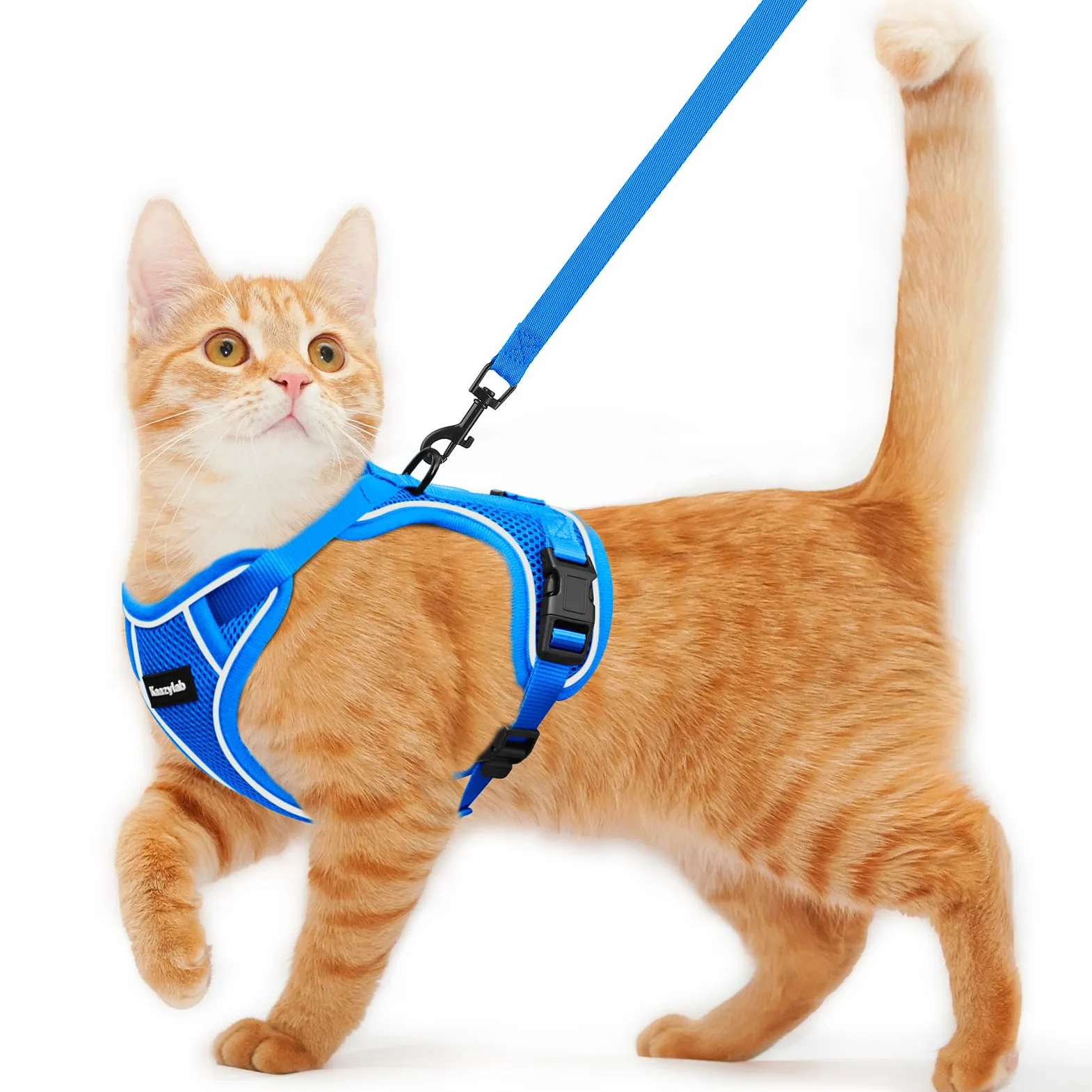 Harnais et laisse pour chat pour la promenade - Anti-fugue - Souple et réglable - Respirant et confortable - Facile à porter - Harnais pour chaton pour l'extérieur et les voyages - Bleu - Taille S