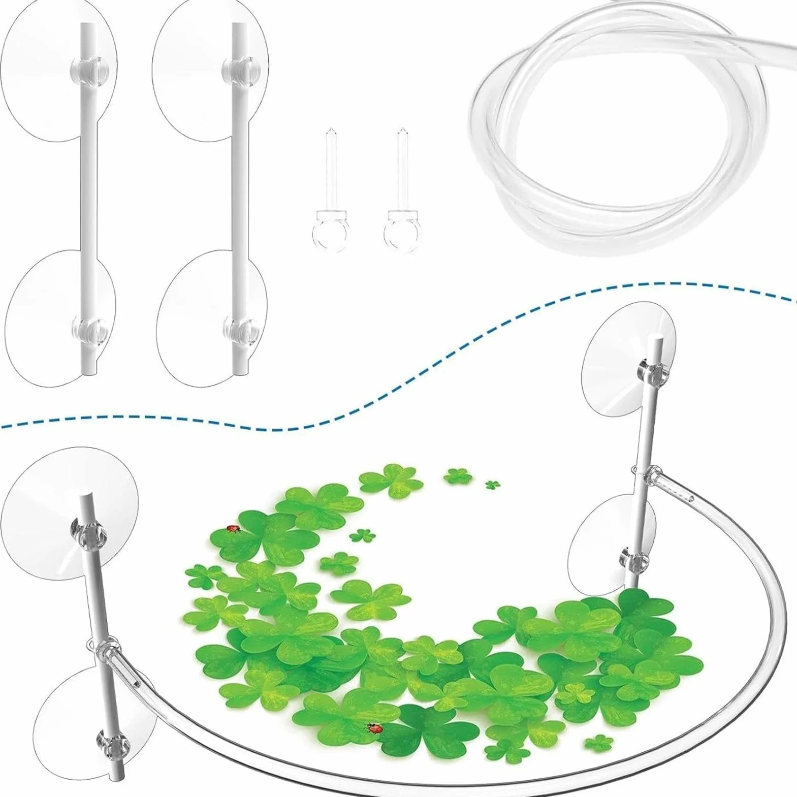 Anneau flottant pour plantes d'aquarium - Accessoire de protection et alimentation