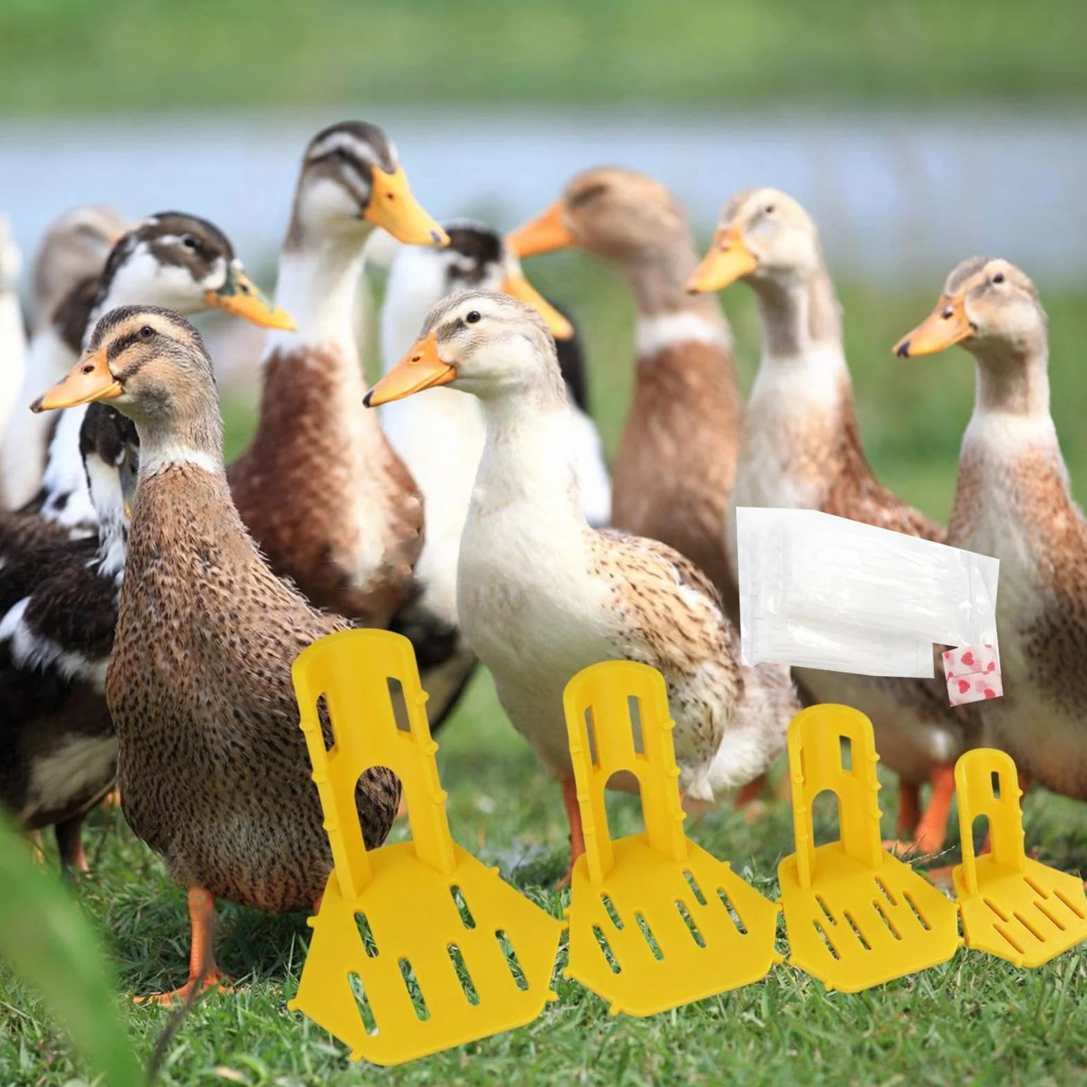 Ensemble d'attelles de jambe de volaille – Orthèse confortable réutilisable en ABS pour pattes de poulet et canard
