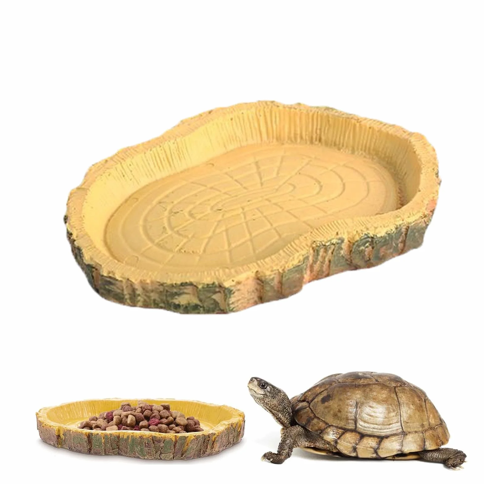 Gamelle Tortue Terrestre Nature Bol d'eau pour Reptiles Intéressant