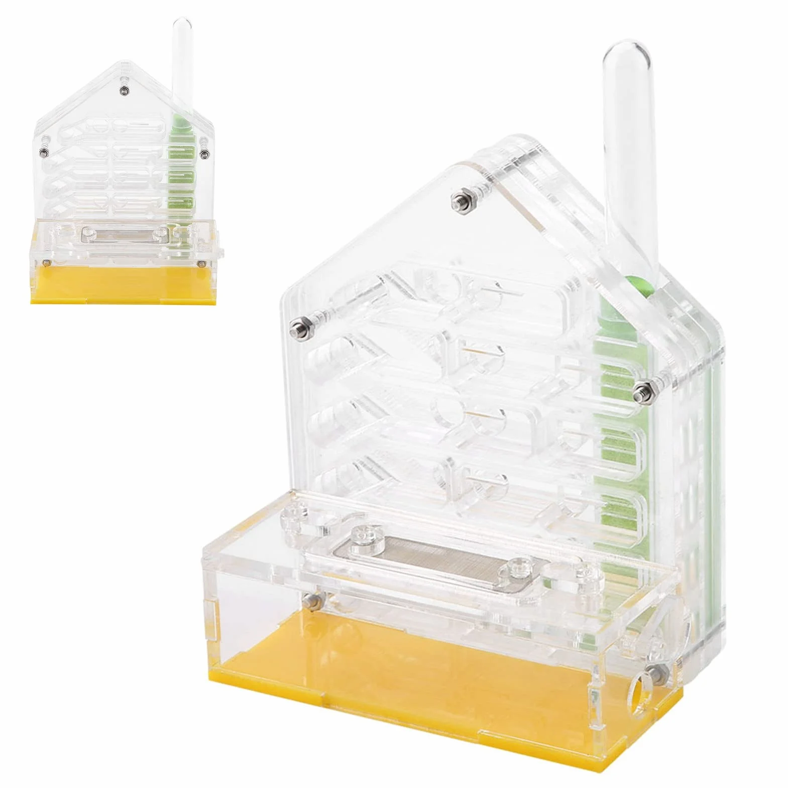 Formicarium Nourriture pour Fourmis 12×11×8 Acrylic Farm The Farm is Alive