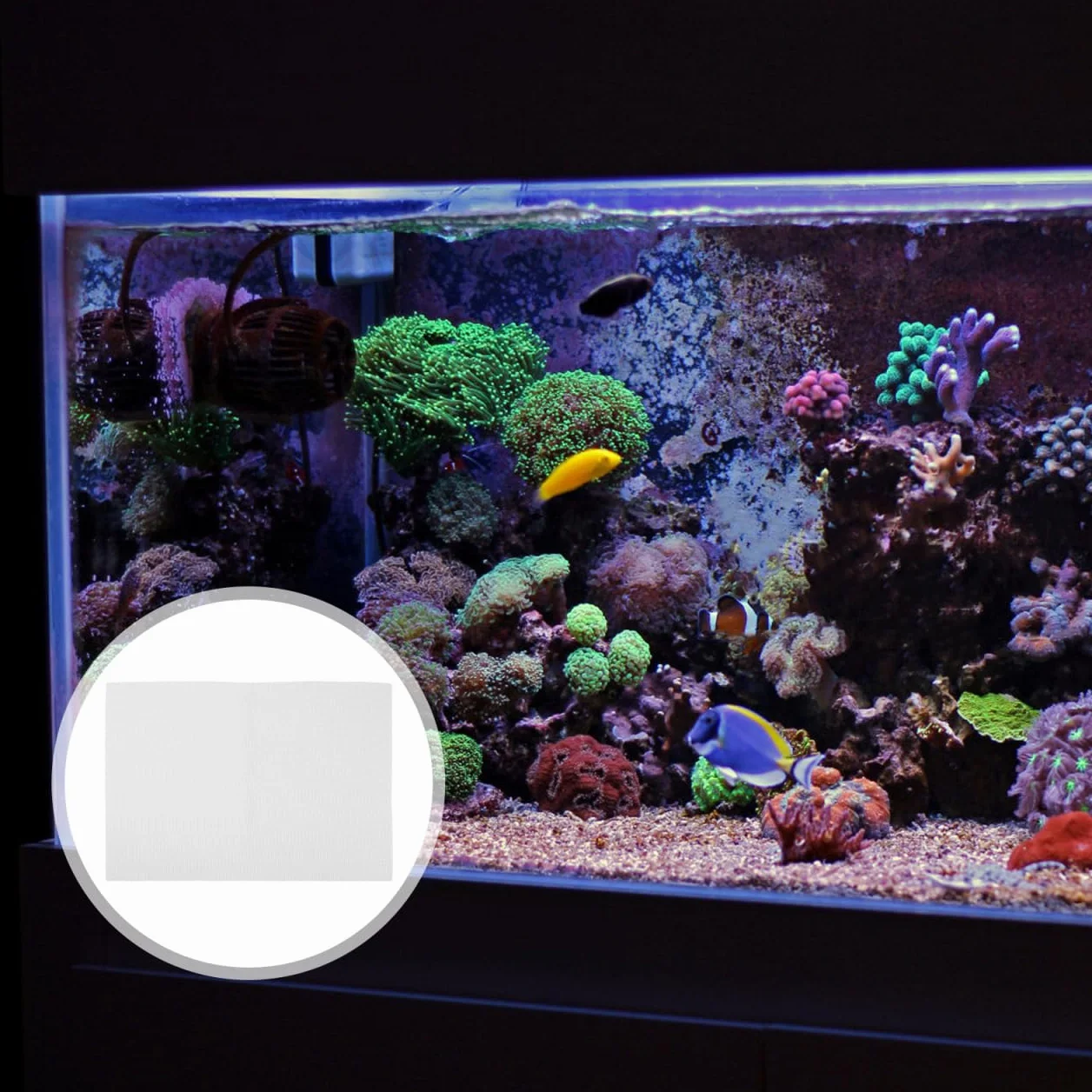 LIOOBO Tapis d'aquarium antidérapant 120 x 60 cm – Mousse de compensation absorbant les chocs