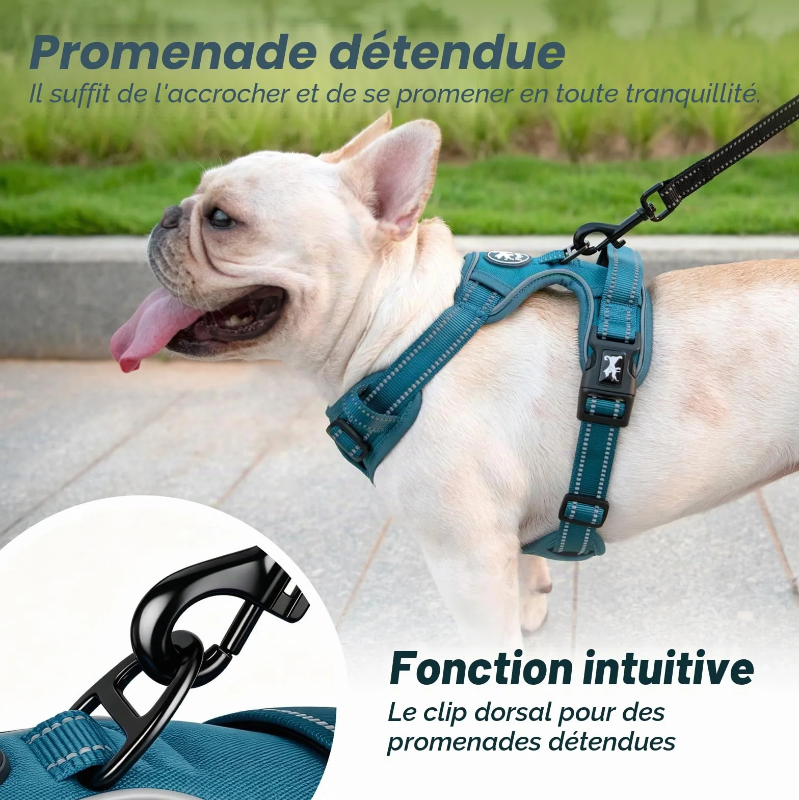 Poypet Harnais pour Chien Réfléchissant Gilet Réglable Doux Poignée Easy Control Bleu Sarcelle Taille S