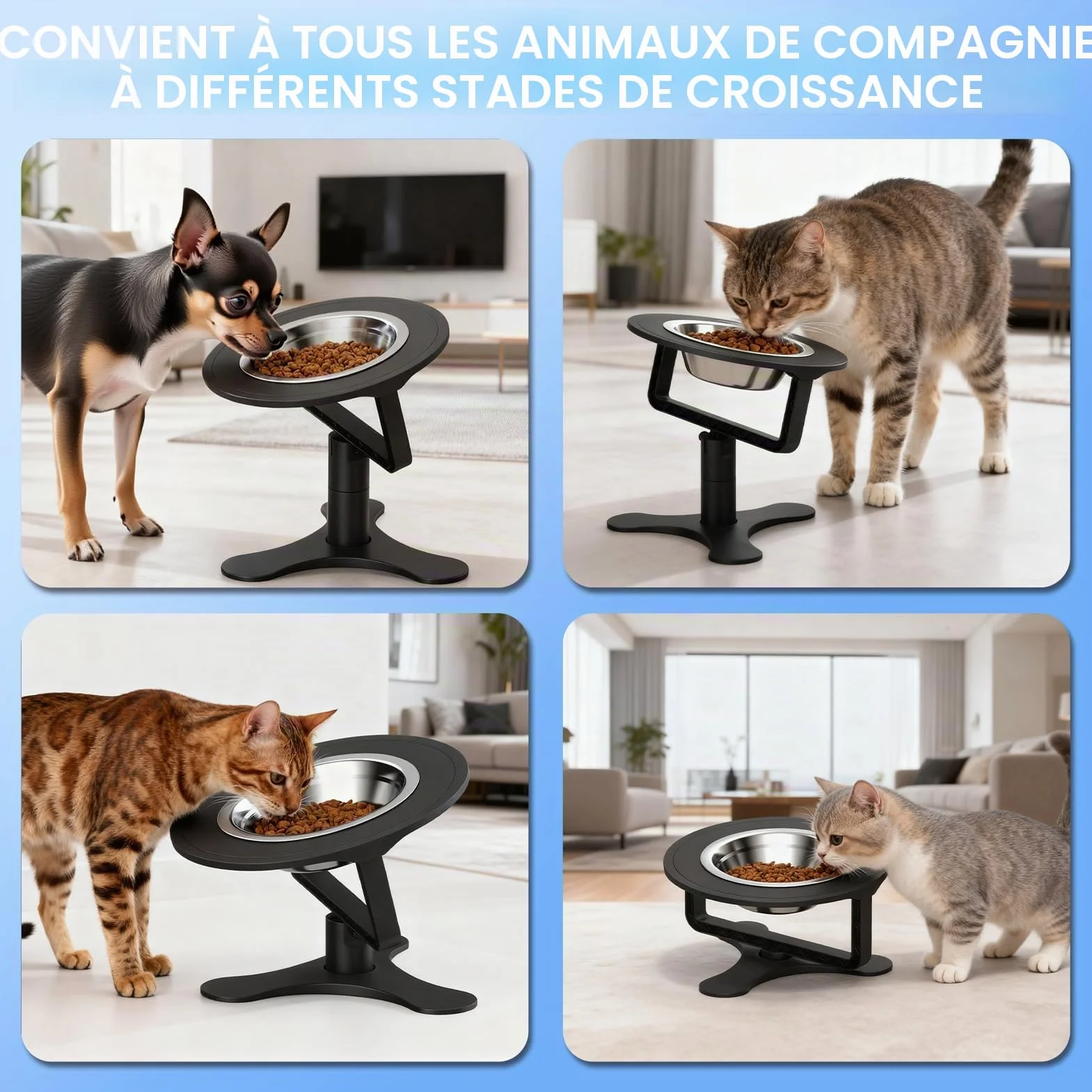 Bol surélevé pour Chat avec Support inclinable à 15°, Hauteur Ajustable 6/10/15 CM, Bols en Acier Inoxydable, Support antidérapant