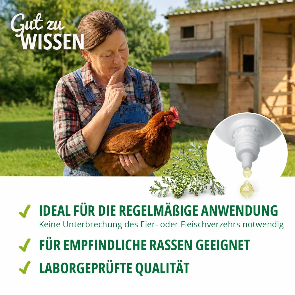 HÜHNER Land Vermifuge liquide 100 ml pour poules et volailles Artemisia Absinthium