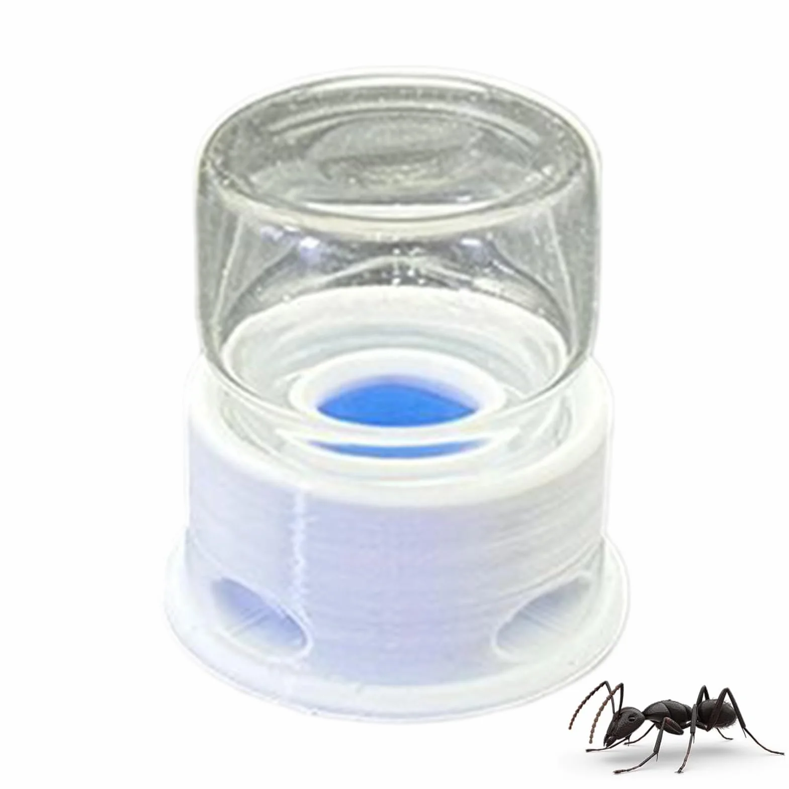 Transparent Distributeur pour Fourmis Abreuvoir pour Grillons Multifonction Abeilles Ferme Extérieur