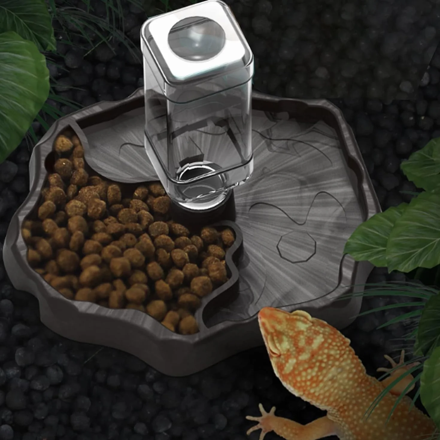 JOYOLA Bol à Eau pour Reptile 2 en 1 Mangeoire Gamelle Tortue