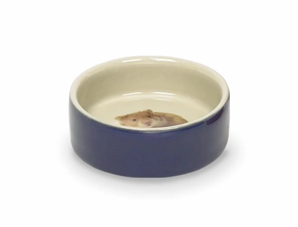Nobby Mangeoire en Terre Cuite Rongeur Diamètre 7,5 cm Bleu