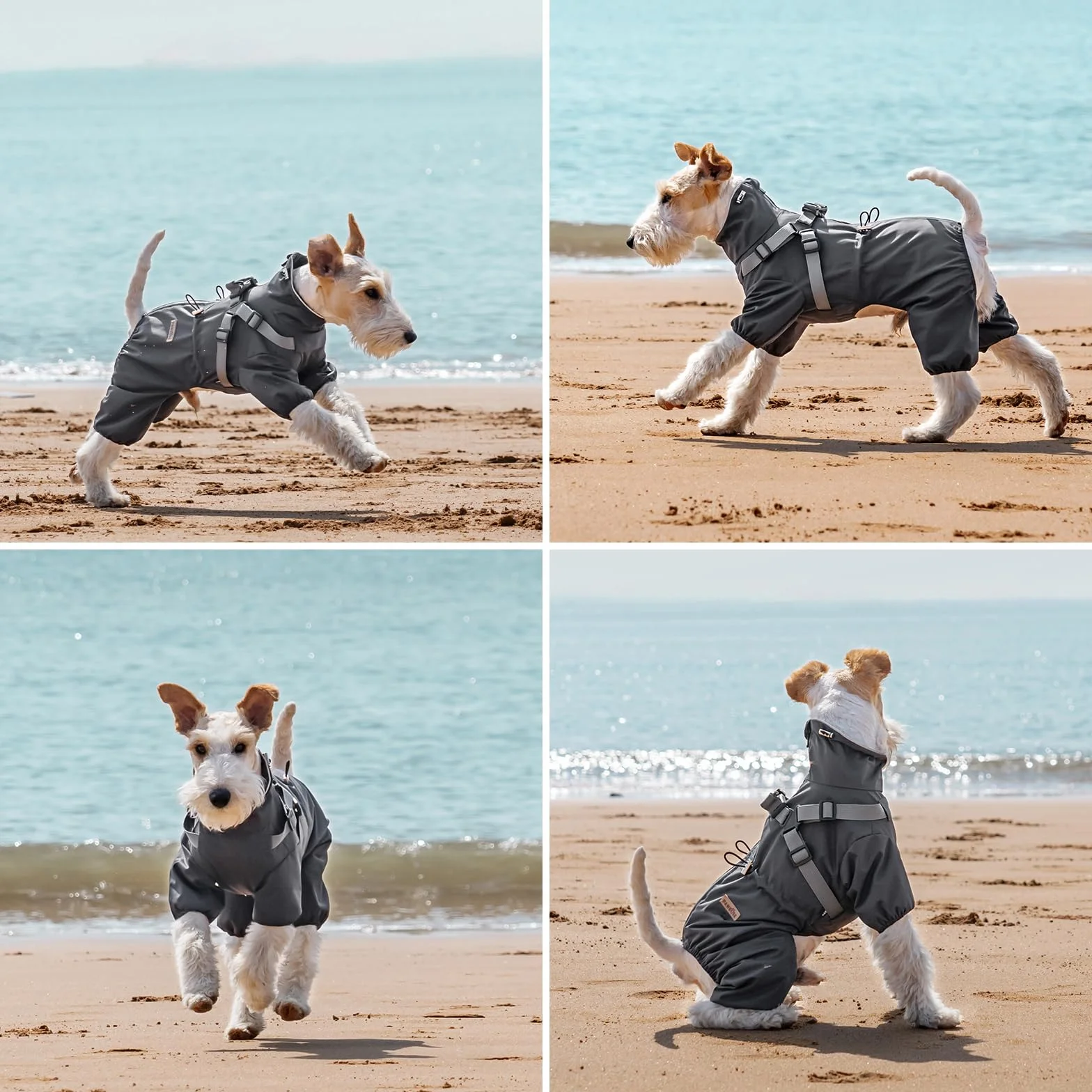 PAWBOSE Imperméable Chien Réfléchissant Harnais 4 Jambes Taille M Gris