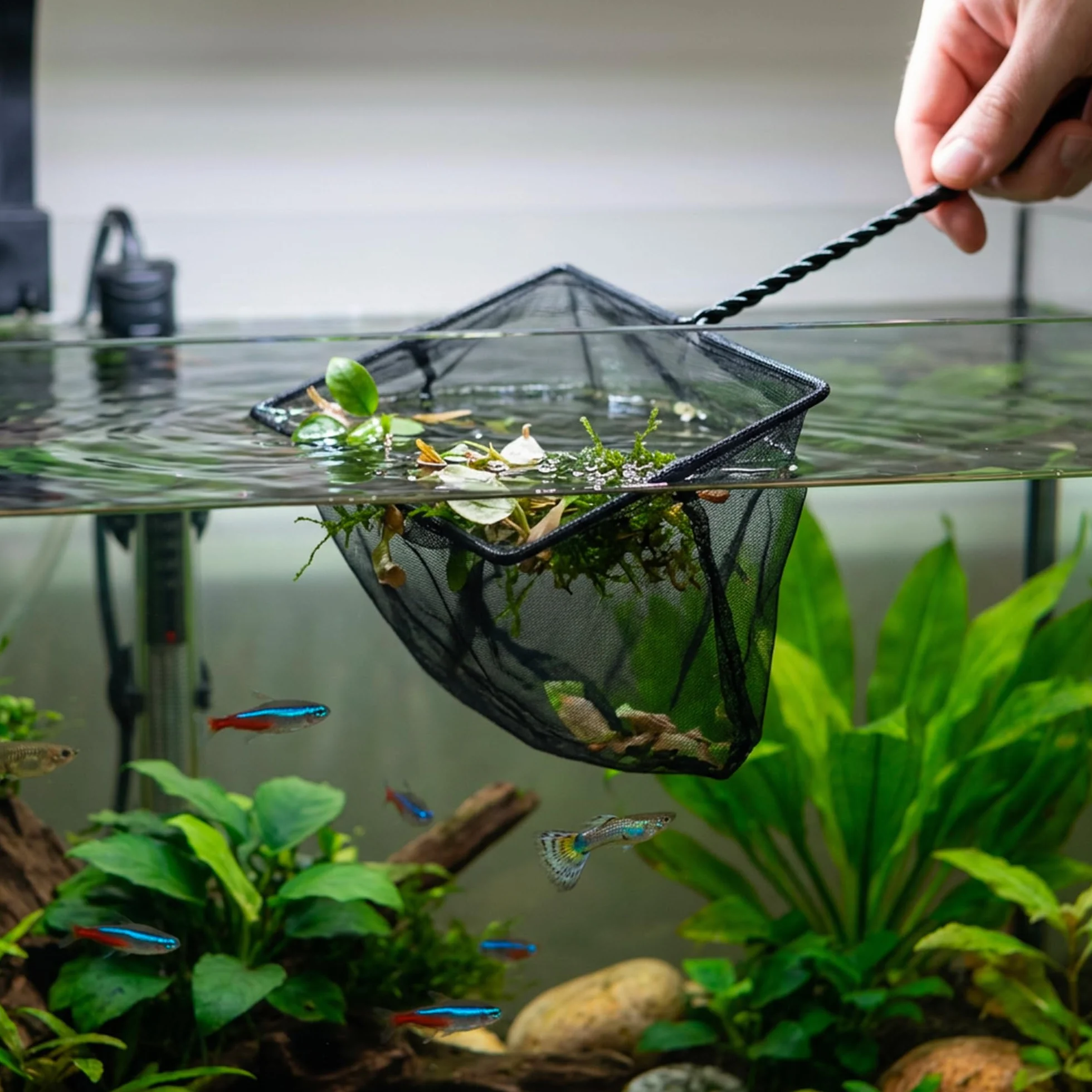WAVE Epuisette pour Aquariophilie Vert 12 cm