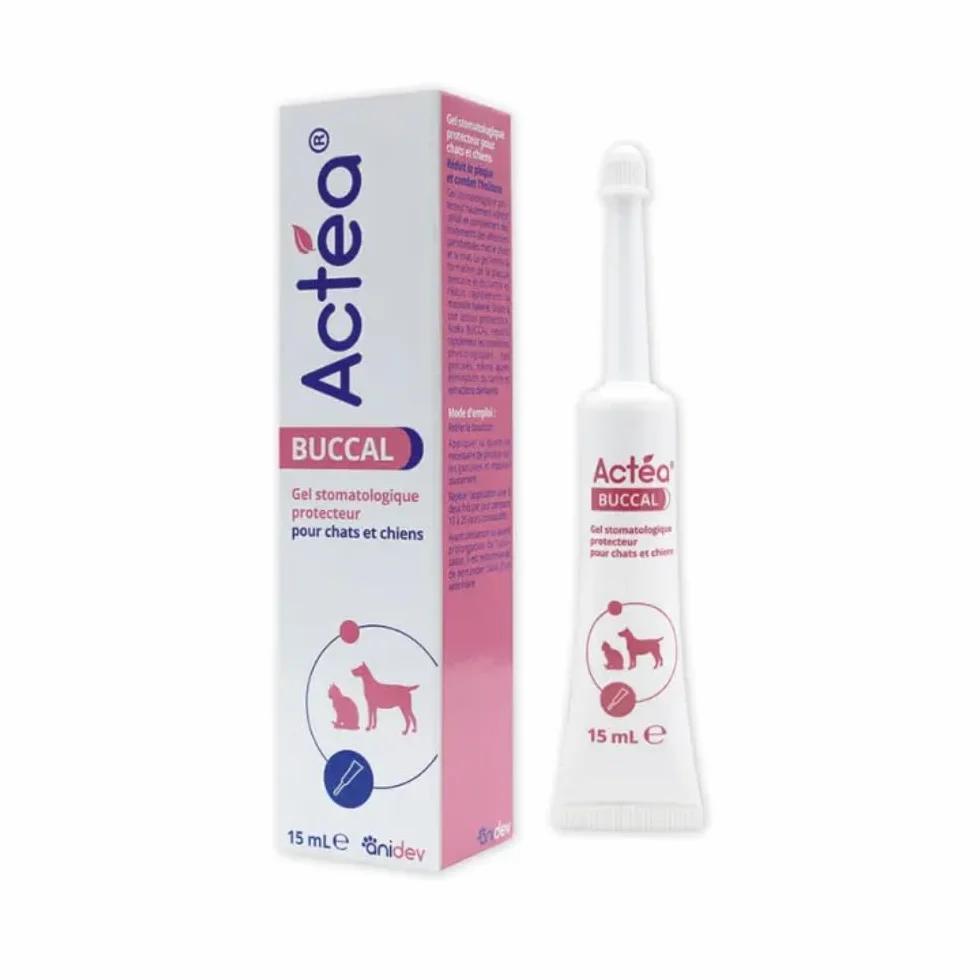 Anidev Actéa Buccal Gel apaisant gencives Chien Chat Hygiène bucco Dentaire 15 ML