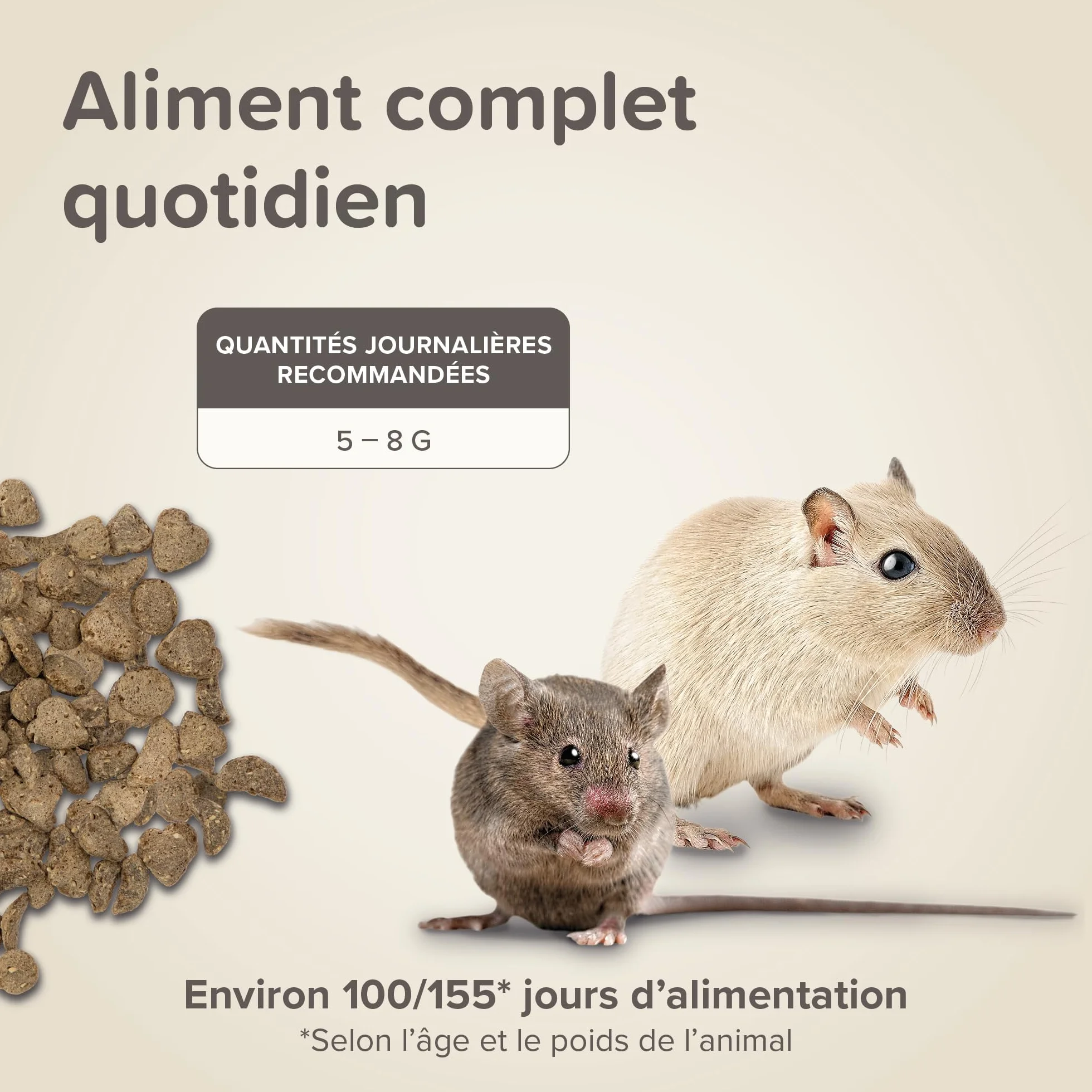 BEAPHAR Care+ Alimentation Super Premium extrudée pour Gerbille et Souris Granulés Tout-en-Un 500g