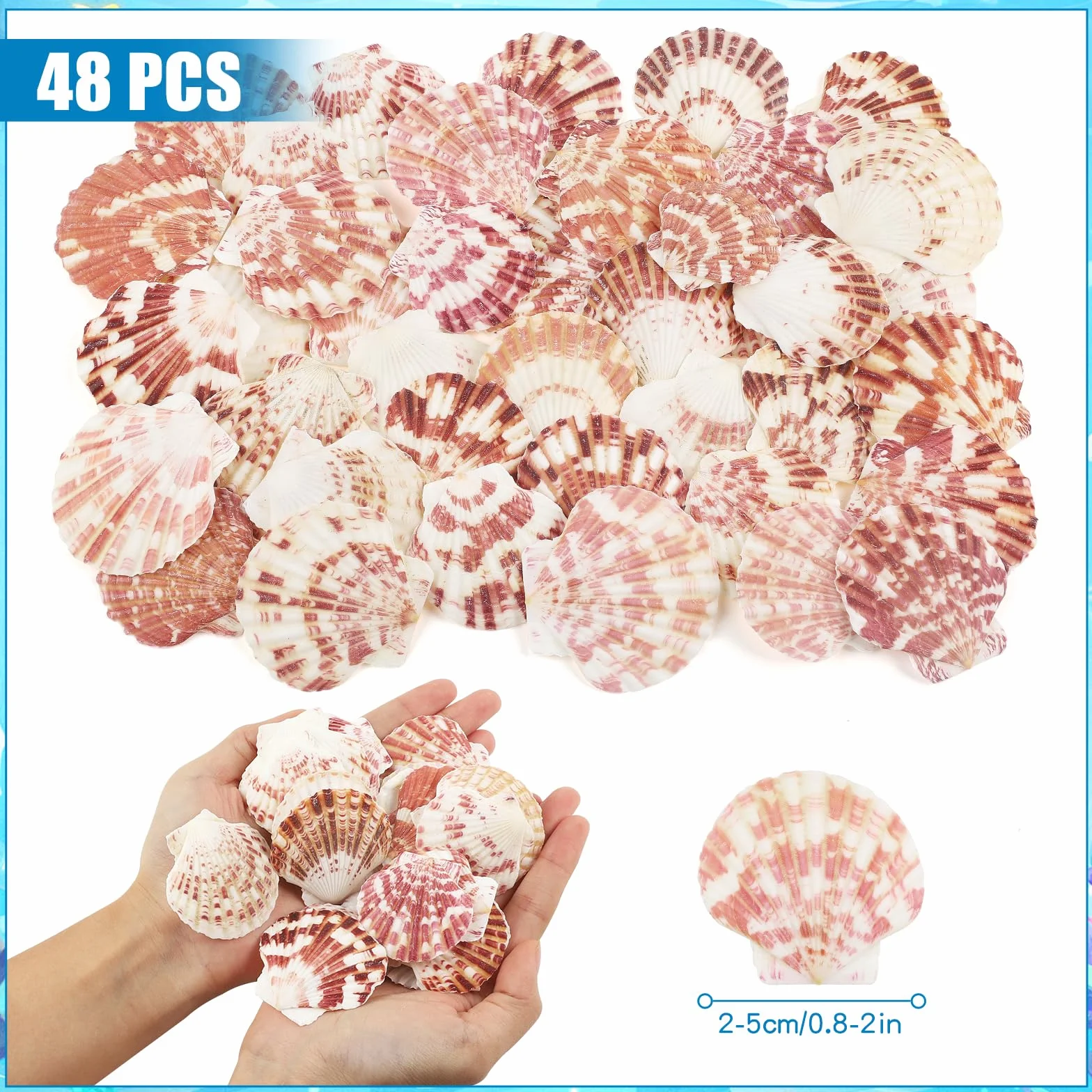 Coquillages naturels 48 Pièces 3-5cm Blanc Rose Décoration Mariage Plage Fête