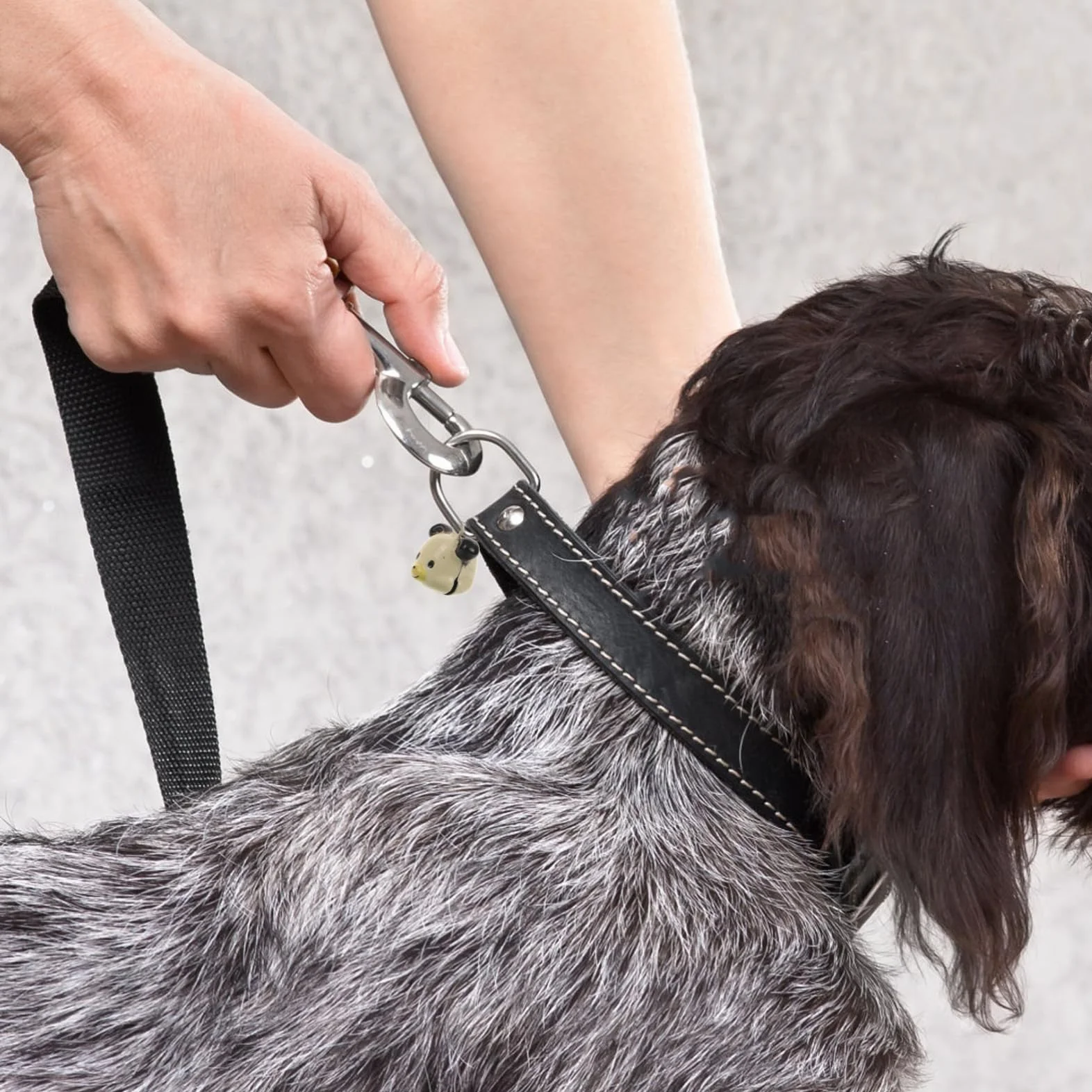 Milisten Cloche de Chien Grelot Cloches Artisanales Collier Cuivre