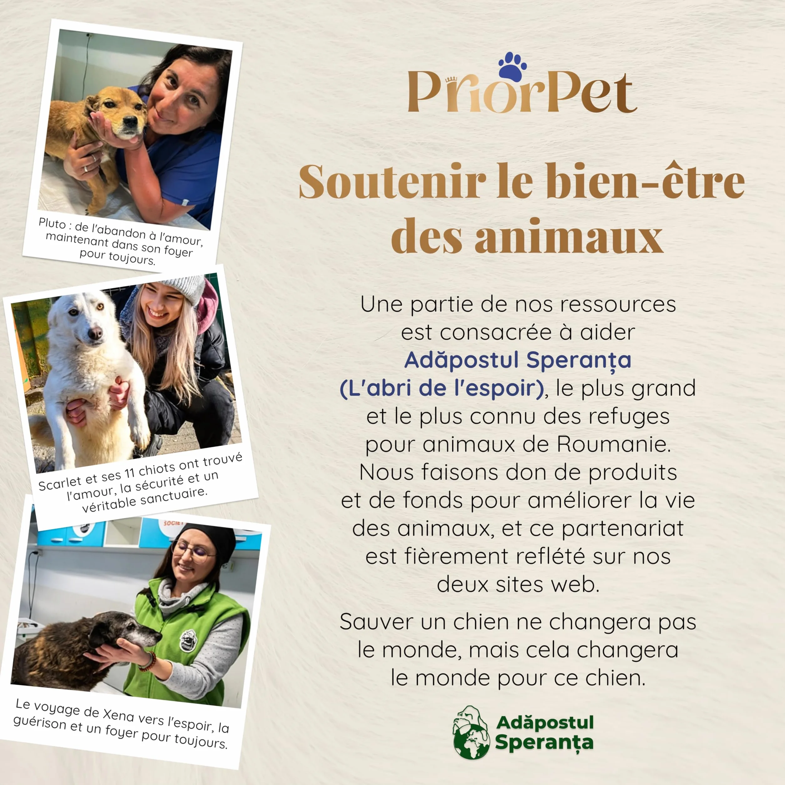 Rampe télescopique pour Chien Voiture SUV 90kg Antidérapante Sécurité Nuit