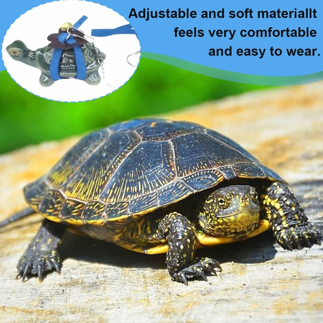Harnais et Laisse avec Cloche pour Petits Animaux et Cochons d'Inde - Bleu, Taille L