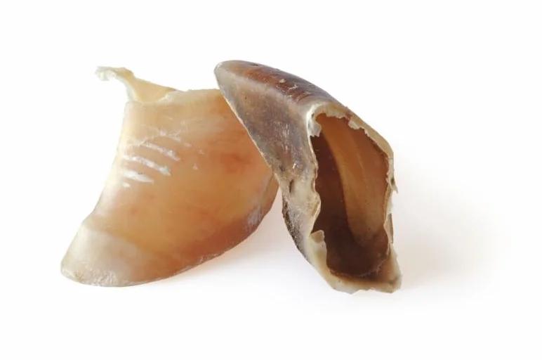 Sabots de Veau Yuccana Lot de 20