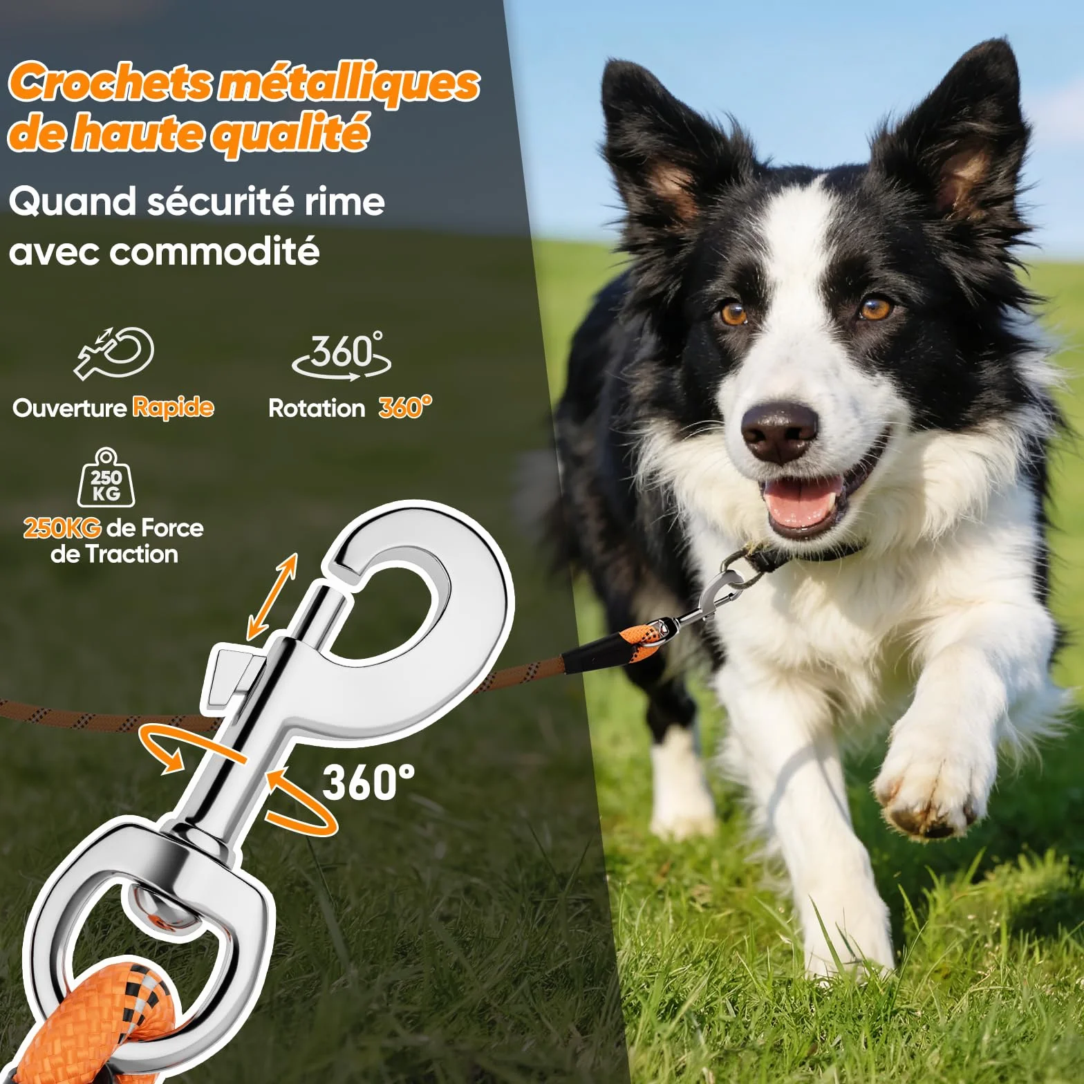 Laisse pour Chien Longue 5M 10M 15M 20M 30M avec Crochets Pivotants, Corde d'attache pour Petits Moyens Grands Chiens (Orange, 5M)
