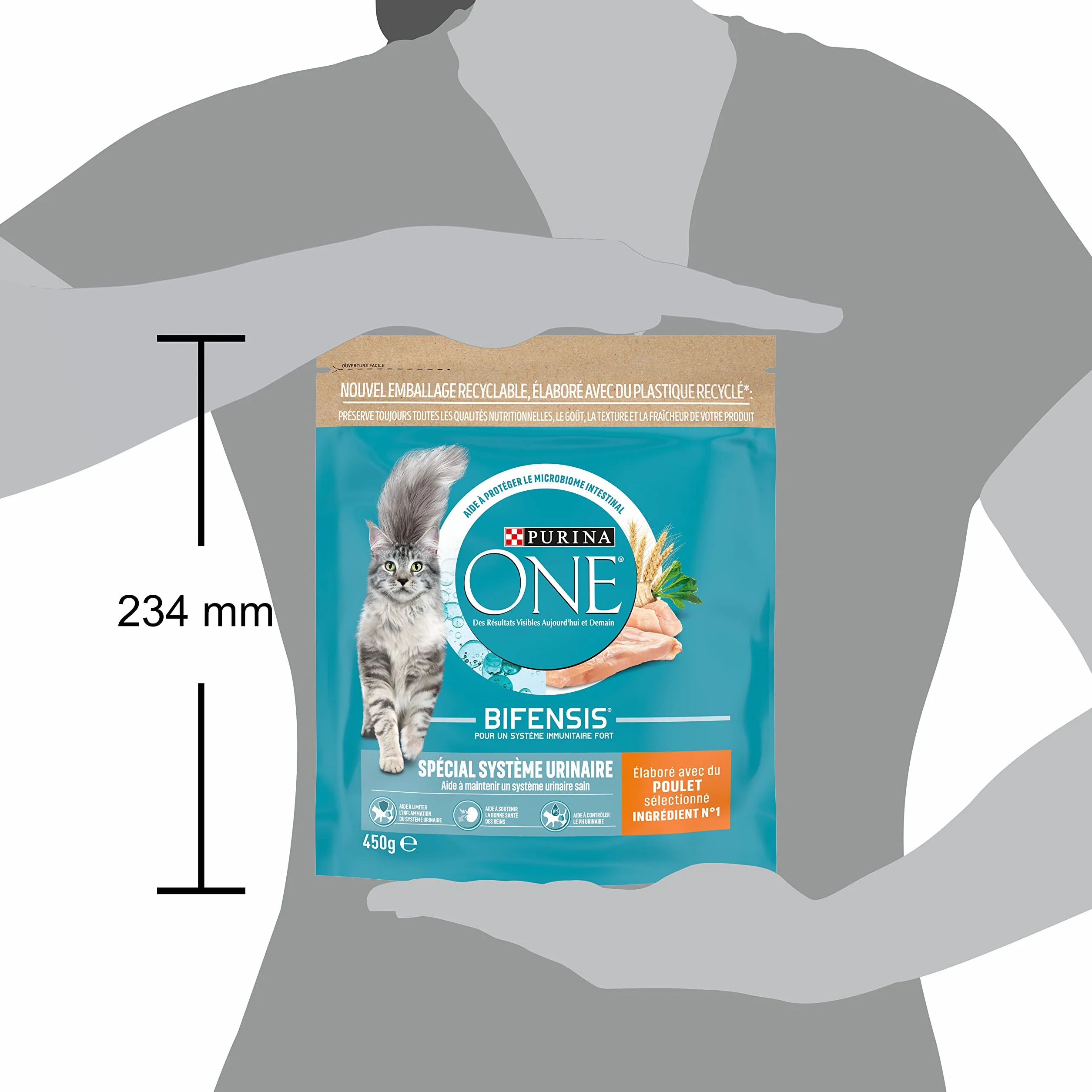 PURINA ONE BIFENSIS Croquettes Chat Adulte Spécial Système Urinaire au Poulet Lot de 10 x 450g