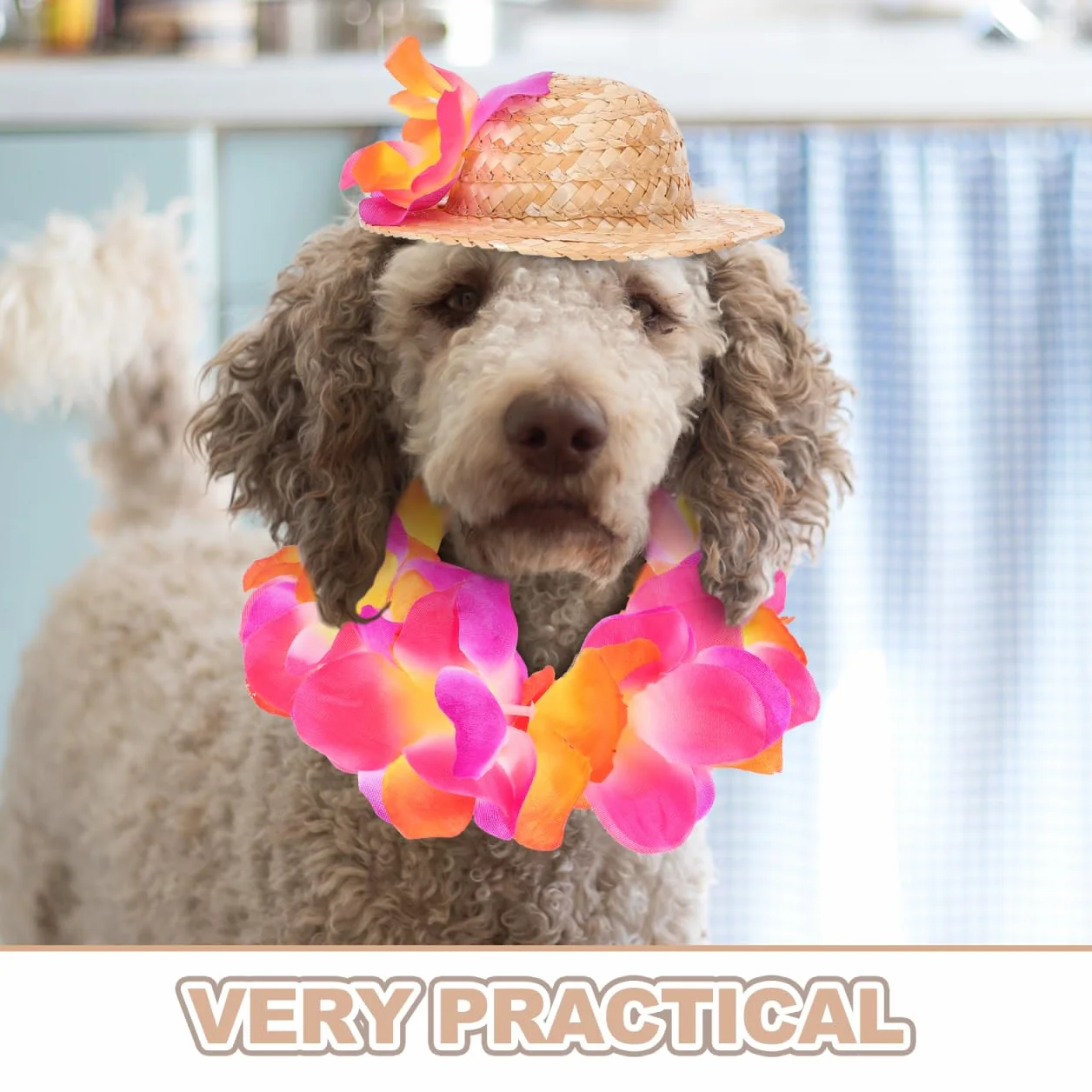Costume Hawaïen pour Chien avec Chapeau De Paille Et Guirlande Accessoires pour Animaux