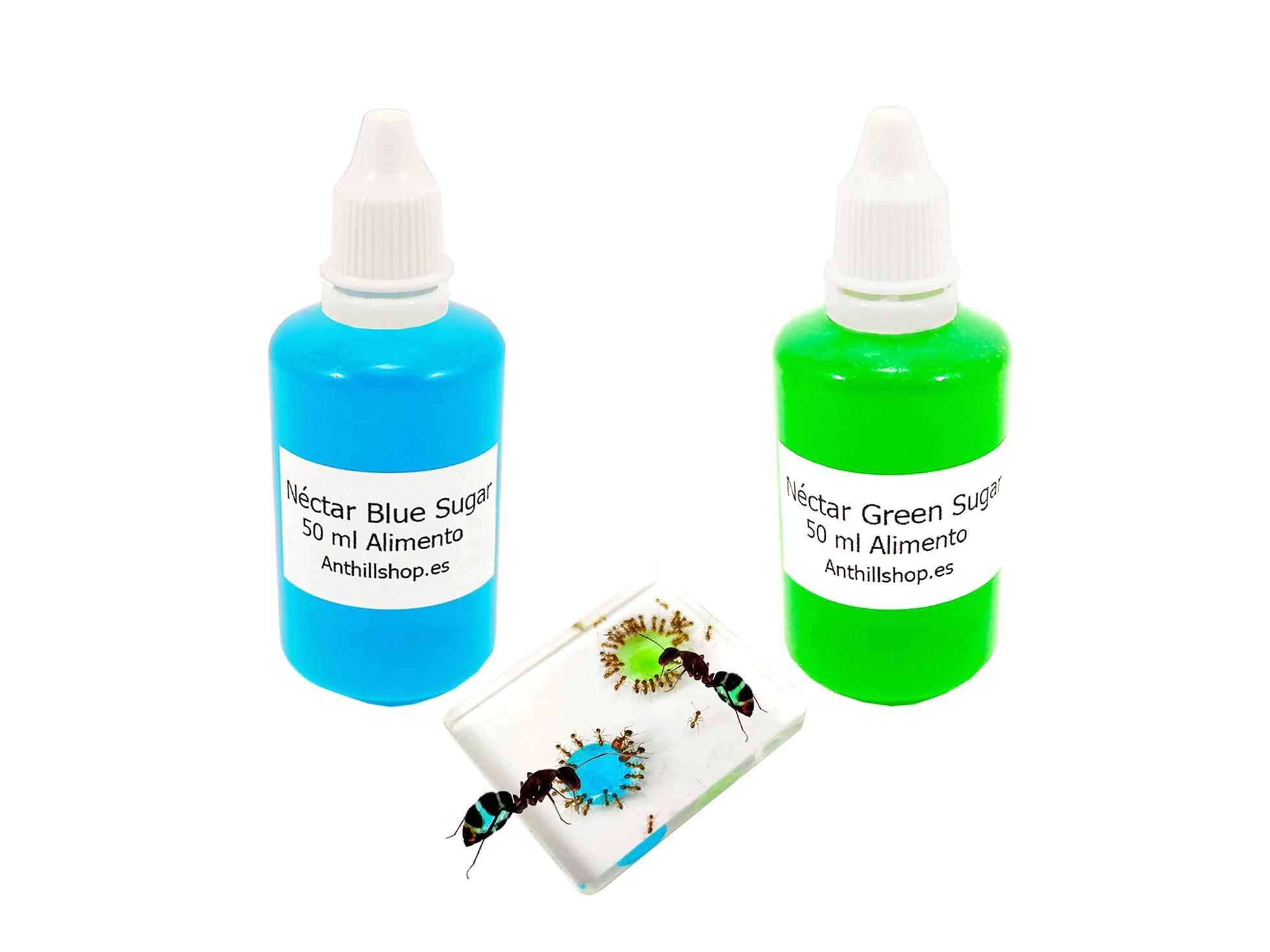 Aliments pour fourmis - Nectar de sucre bleu Plus Nectar de sucre vert - Lot de 2 bouteilles de 50 ml