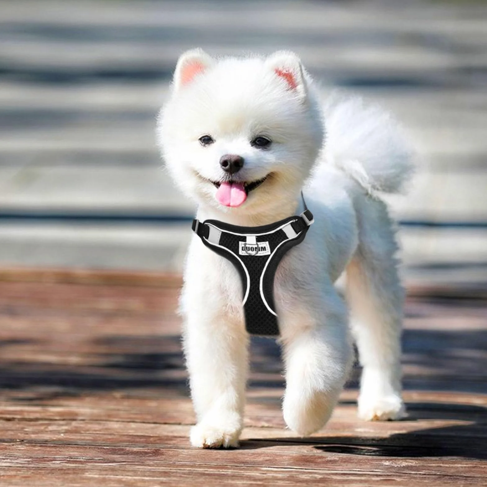 Harnais Chien Anti Traction Petite Moyenne Taille Respirant Lumineux Réglable Sécurité Taille S