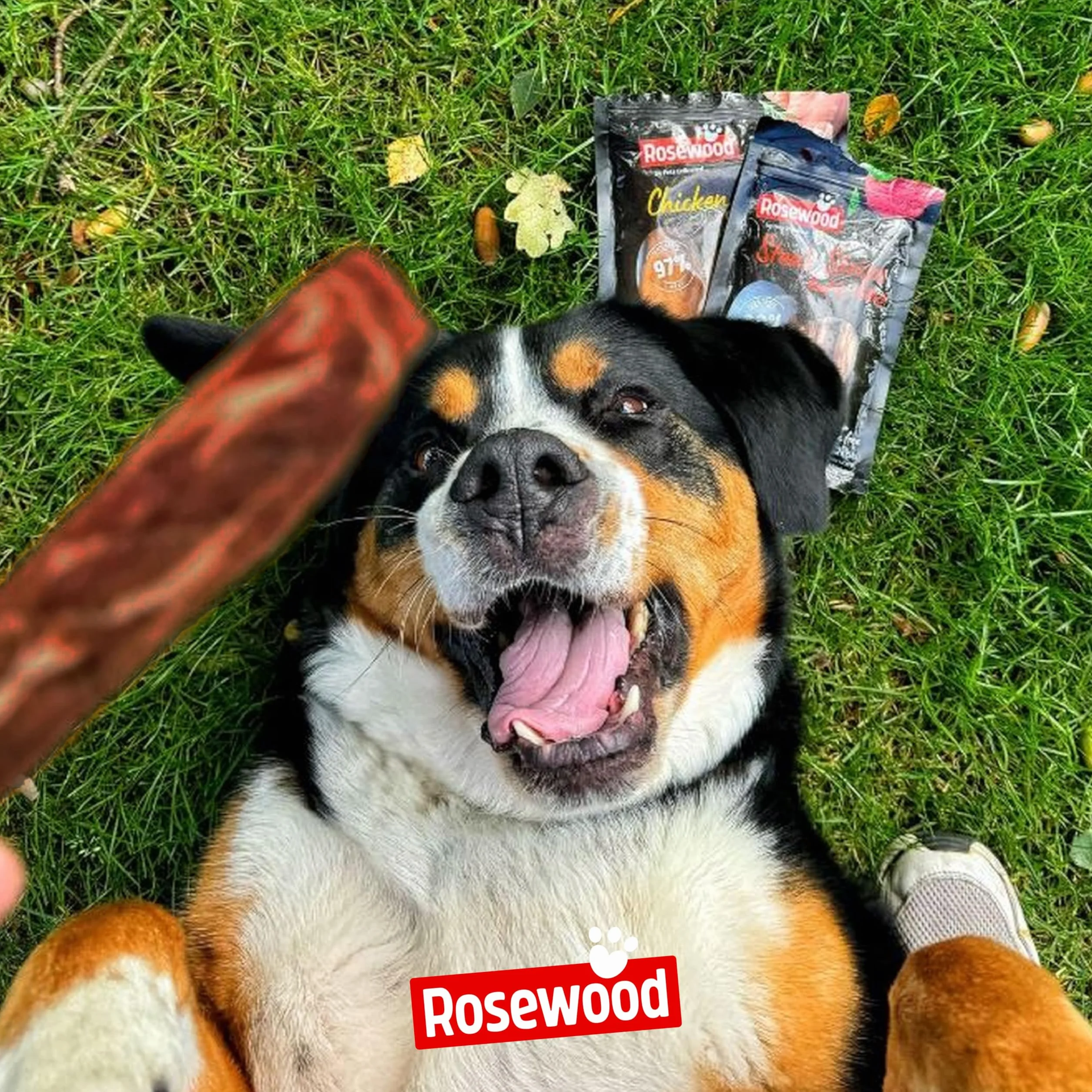 Rosewood Steak Strips Canard et Colin Friandise Tendre pour Chien 100 g
