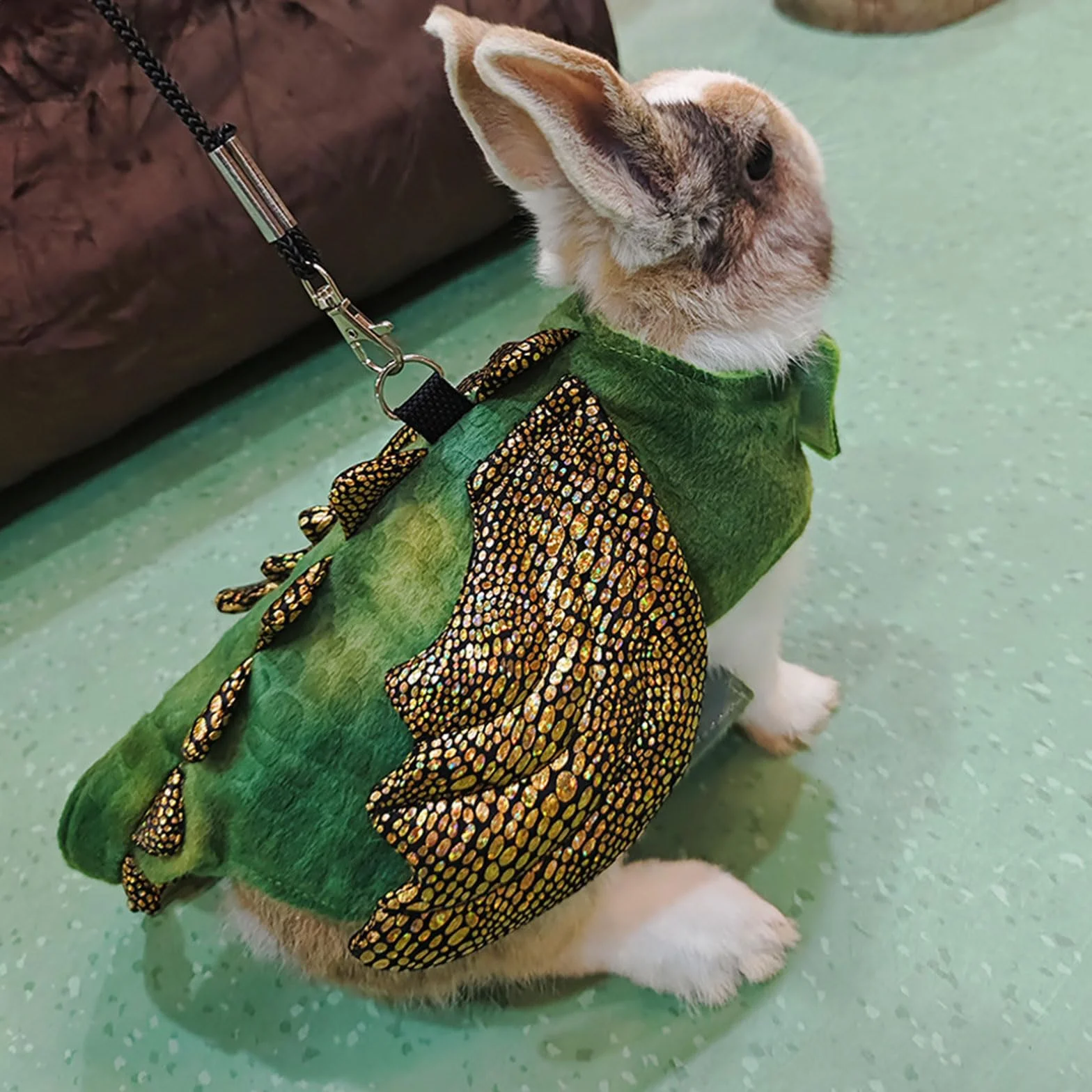 Harnais et laisse pour petit animal - Costume dinosaure pour cochon d'Inde, hamster