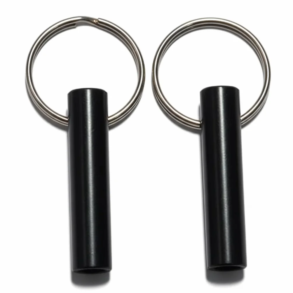 Compatible avec Sureflap Surefeed Microchip Tiny RFID Lot de 2 clés de rechange