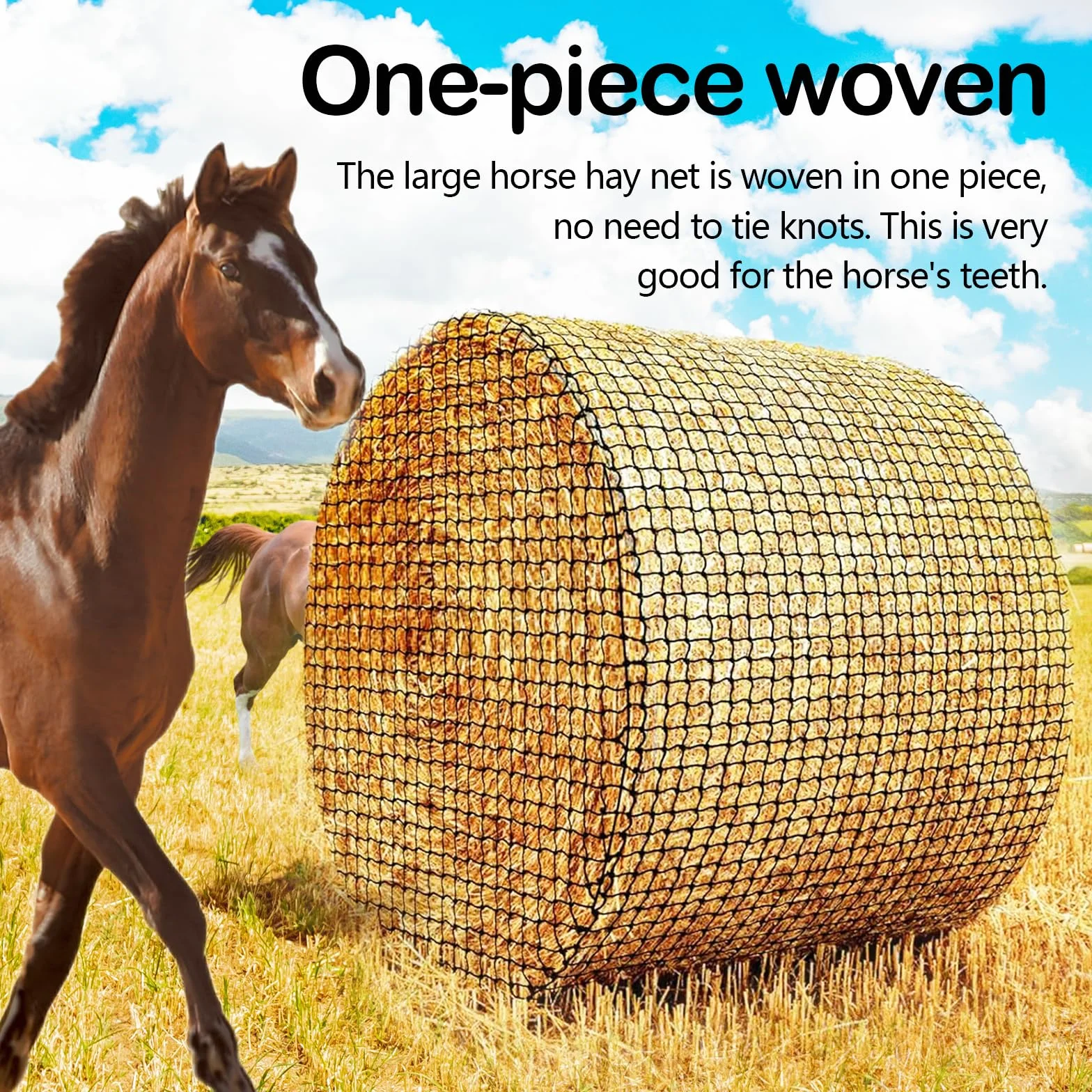 Grand Filet à Foin pour Chevaux, Filet Foin Botte Ronde Diamètre 180cm Hauteur 180cm Maille 4,5cm x 4,5cm