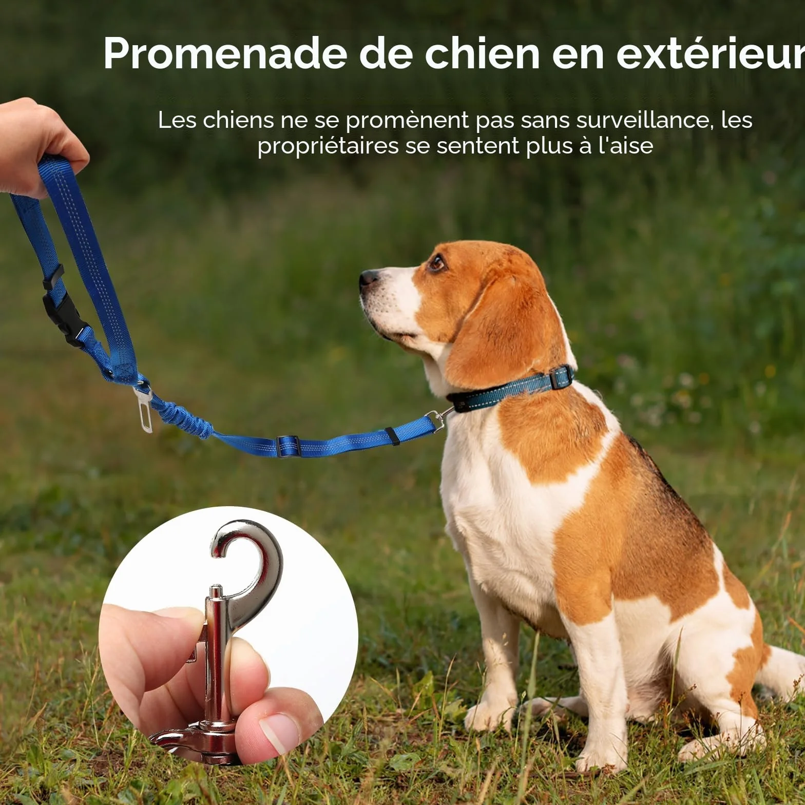 Ceinture Sécurité Chien Voiture Réglable 2 Pièces, Coussin Anti-Vibration Noir Rose