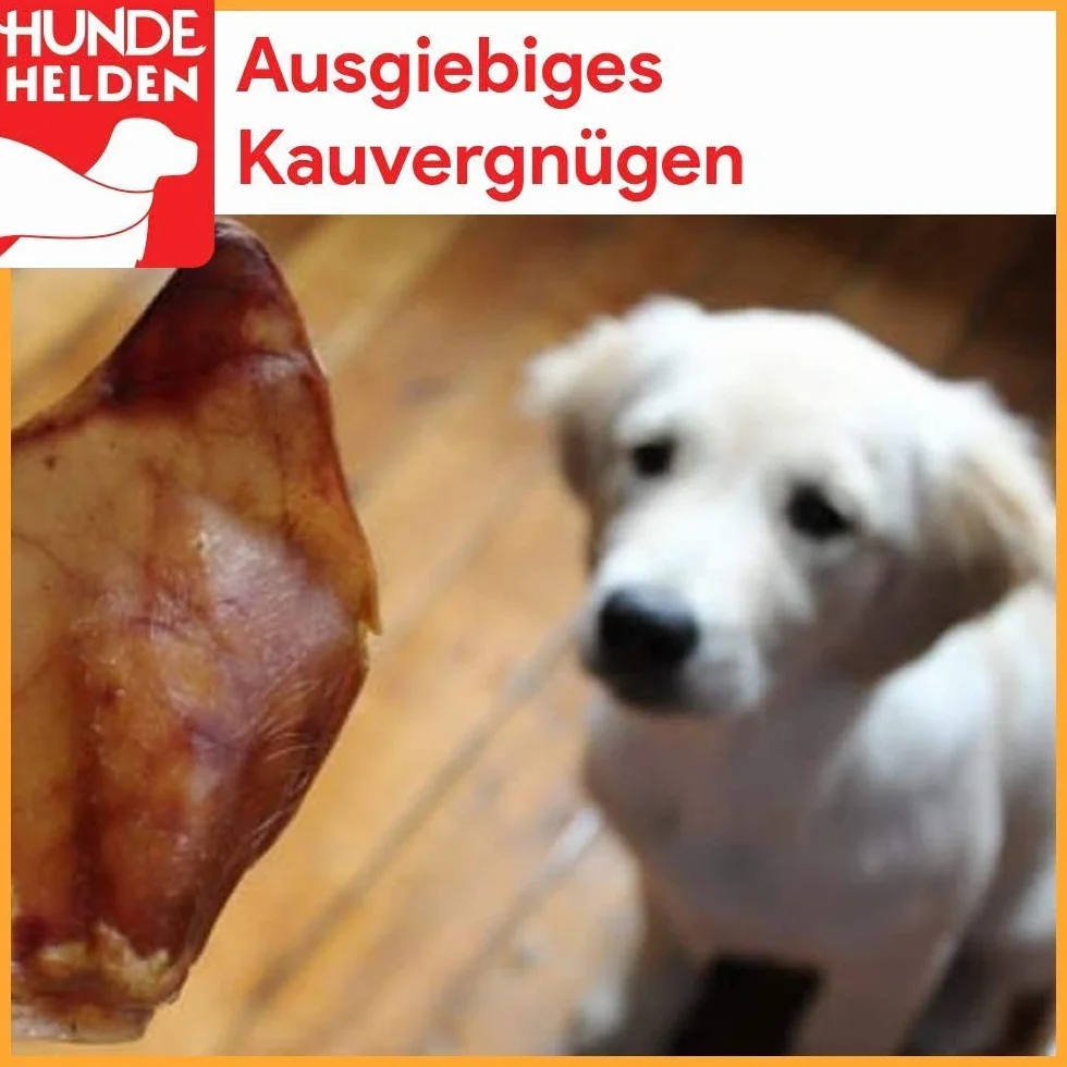 Sabots de bœuf Fabrication allemande Lot de 50 pour chiens