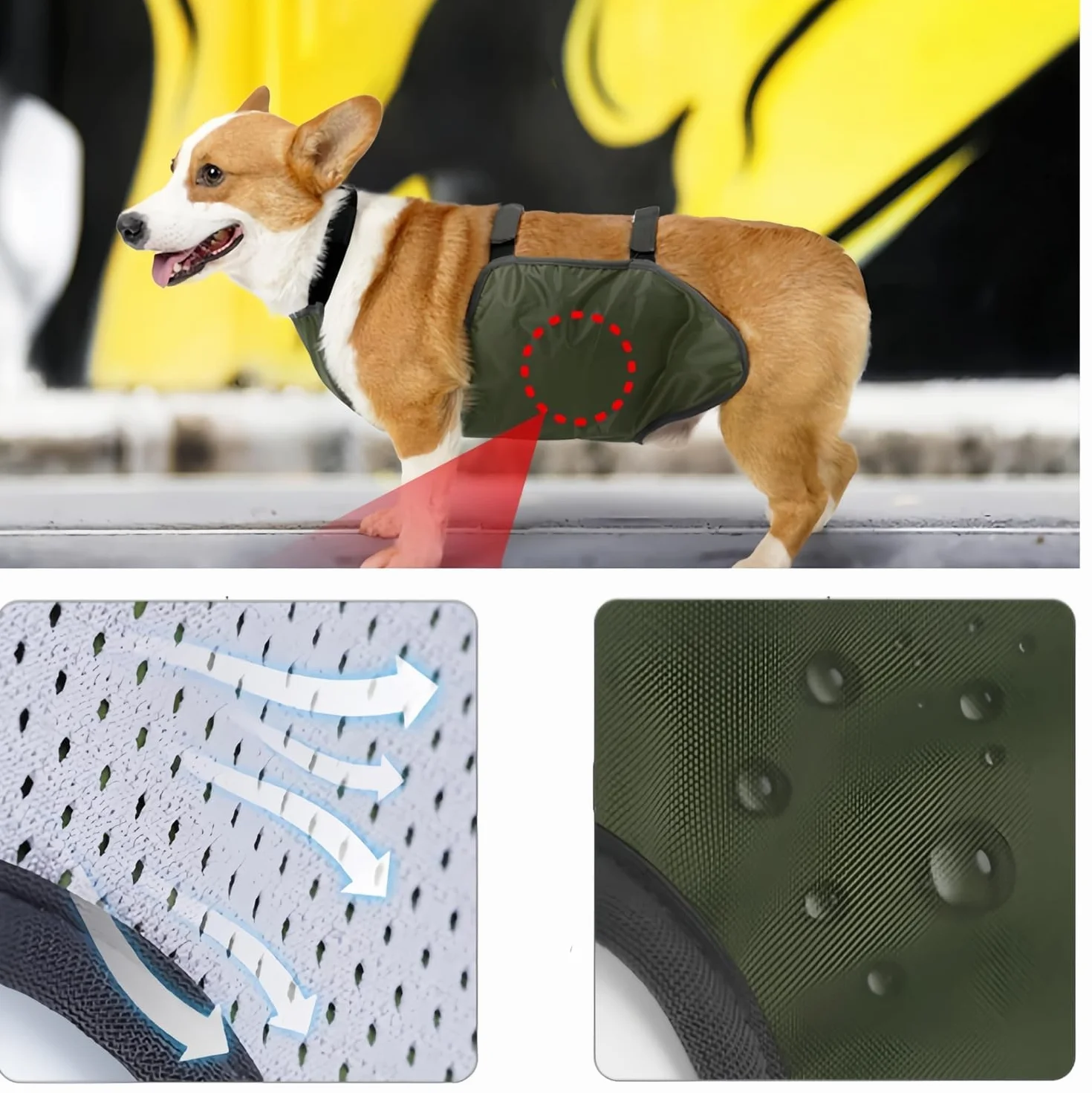 Gilet Rafraîchissant pour Chien, Protection Ventre, Bandeau Transpirable