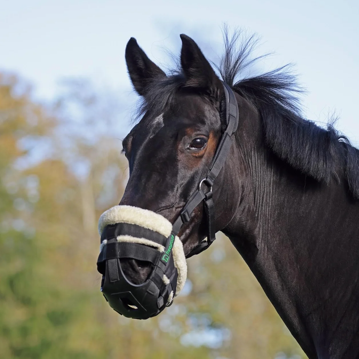 Shires FreeGraze AirFlow Muselière Noir