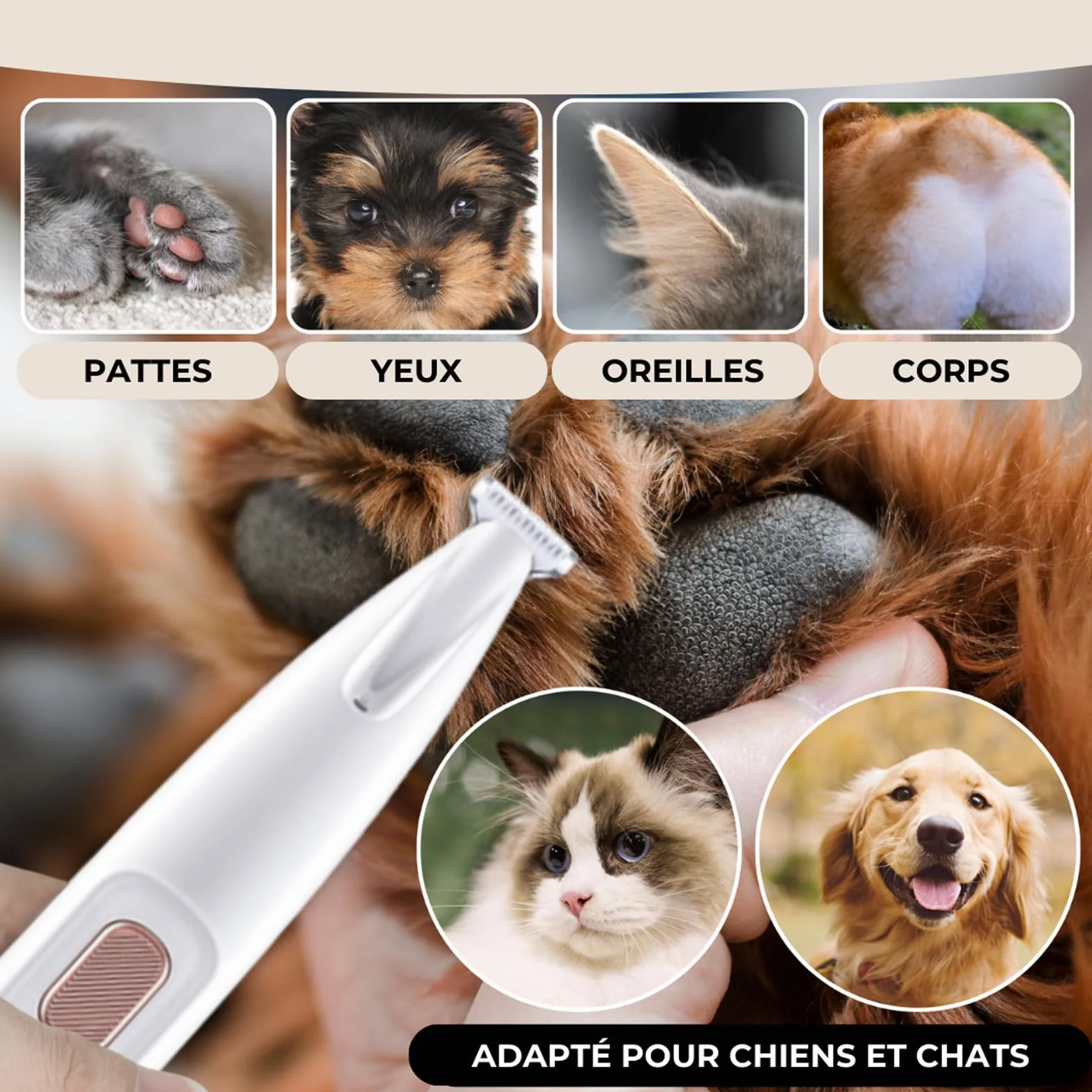 Tondeuse de précision pour chat et chien, sans vibration, légère et ergonomique