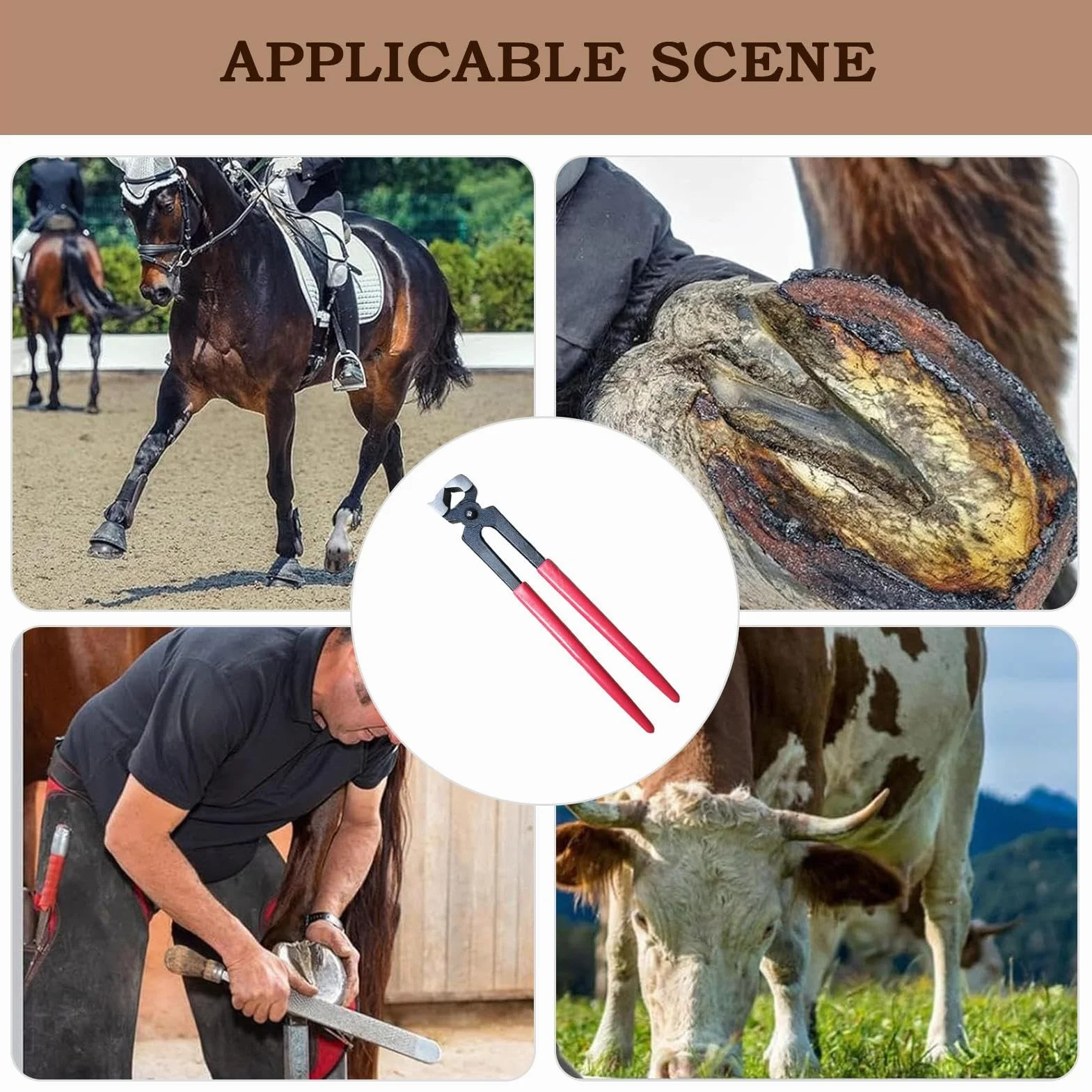Pinces À Sabot De Cheval, Pince de Maréchal-Ferrant, Pinces à Parer Chevaux Réparation Fer Pince à Tordre Matériel pour Sabots Vache Mouton Ferme Animaux