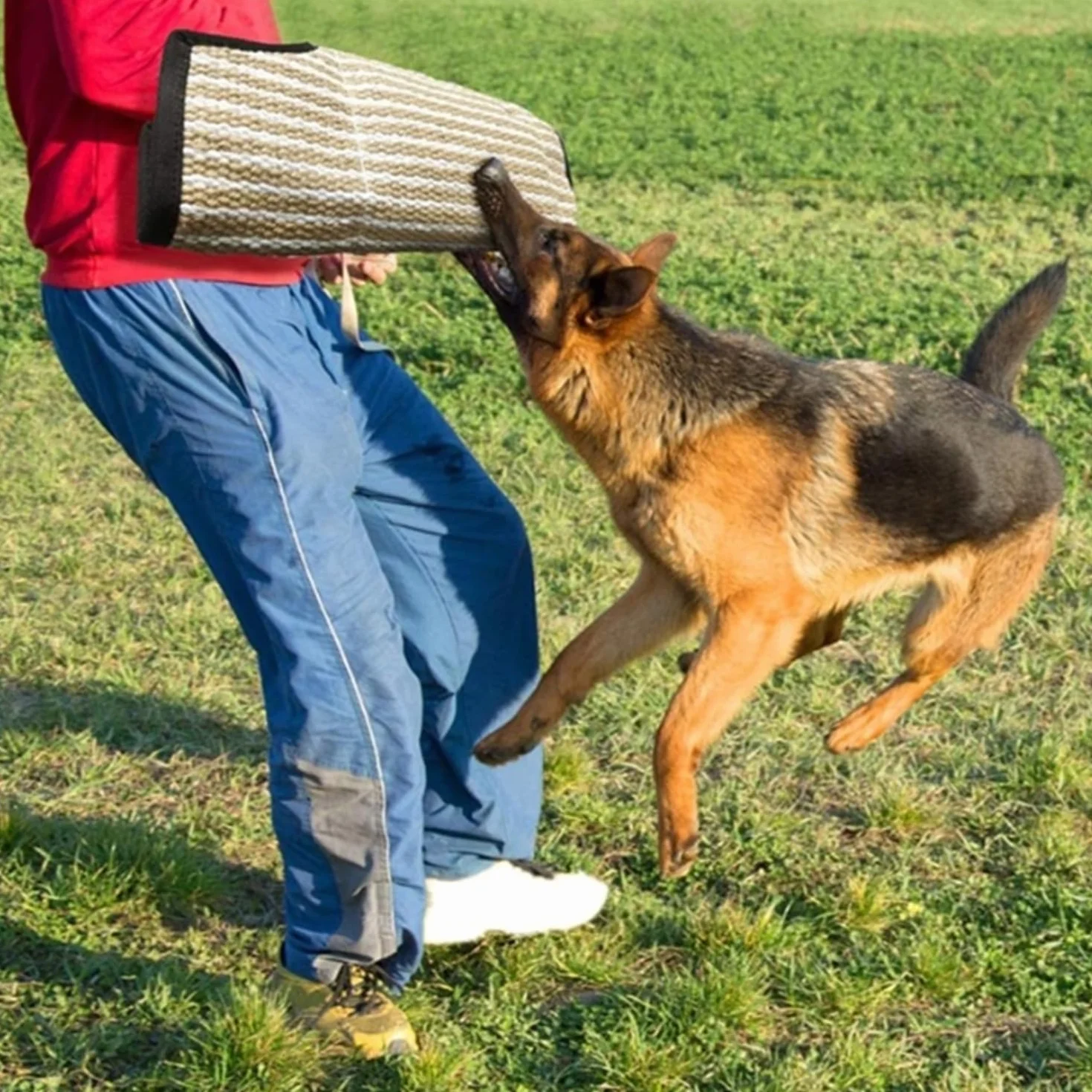 Manchon de Protection pour Chien en Jute Morsure de Chien Manche Épaisse Formation
