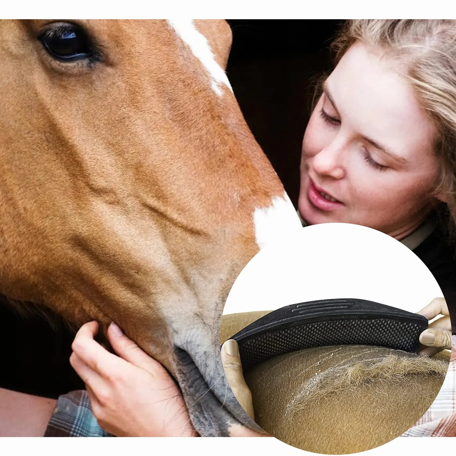 Brosse de massage pour chevaux Peigne élimine poils morts fourrure saleté