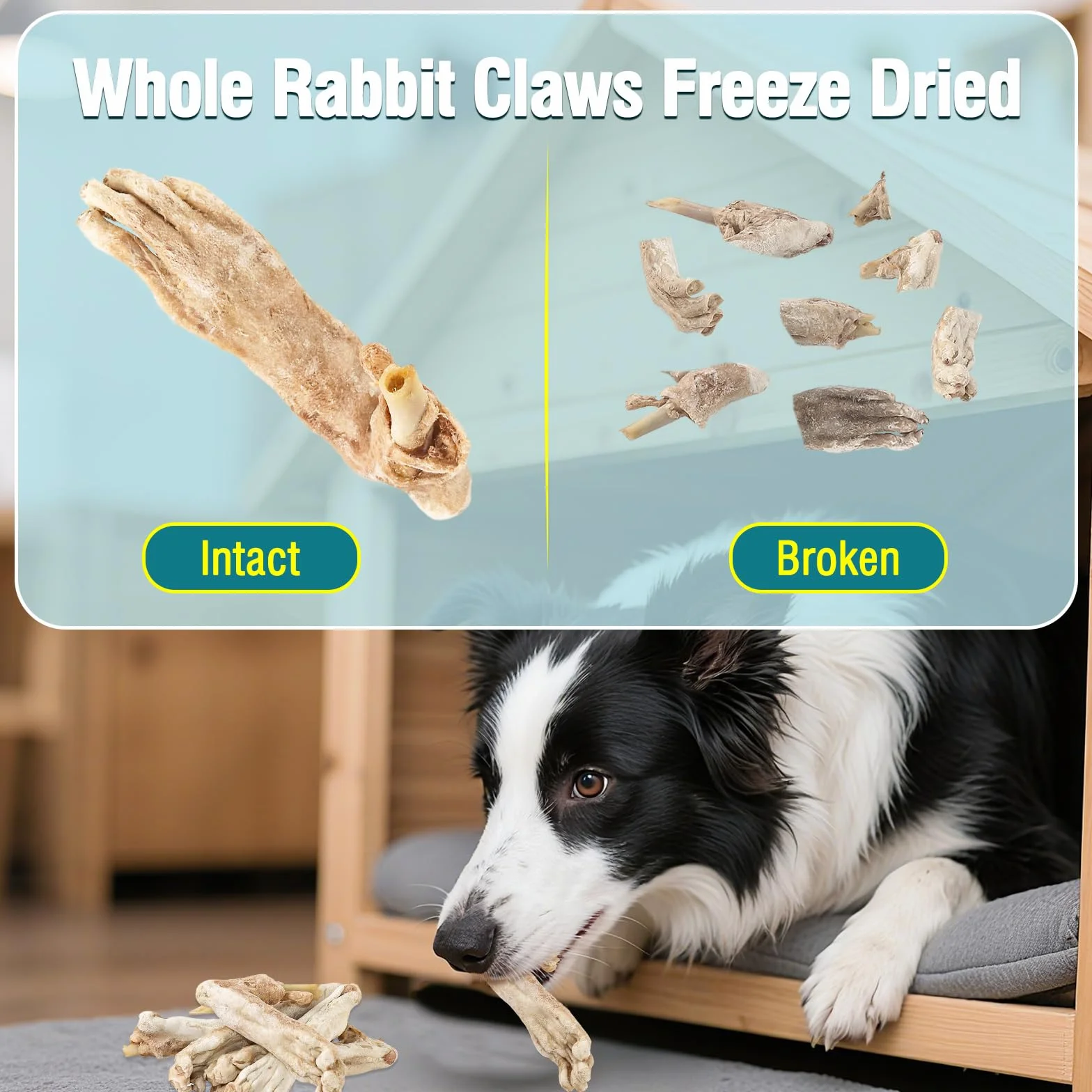 Friandises pour Chiens à Base de Pattes de Lapin lyophilisées Naturelles sans céréales Single-Ingredient 50g