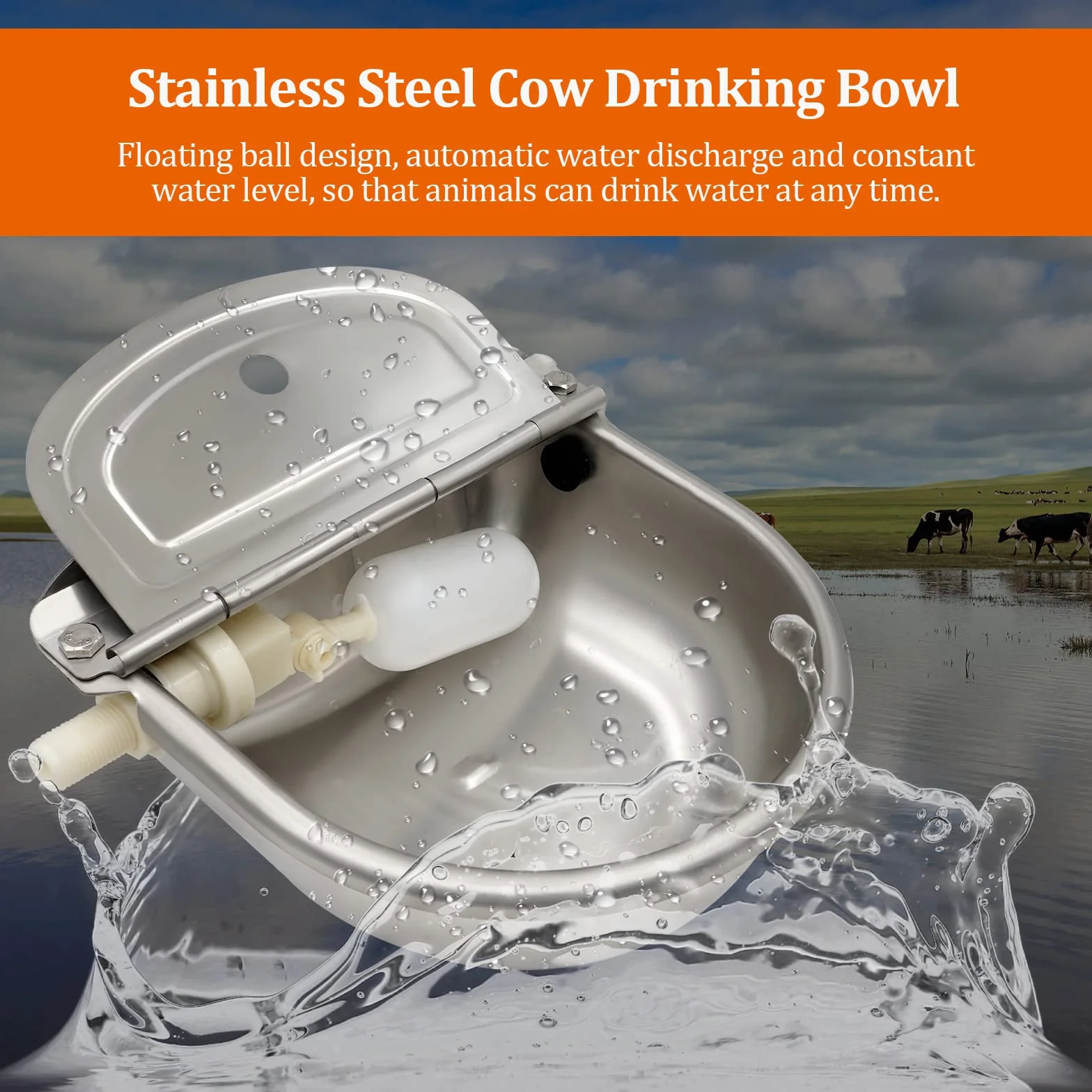 Abreuvoir Automatique en Acier Inoxydable avec Valve Flotteur pour Bovins, Chevaux, Moutons