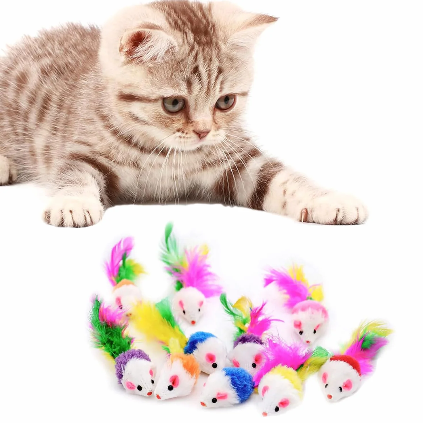 Chat Souris Jouet Chat Interieur avec Hochet Sons 10 Pièces