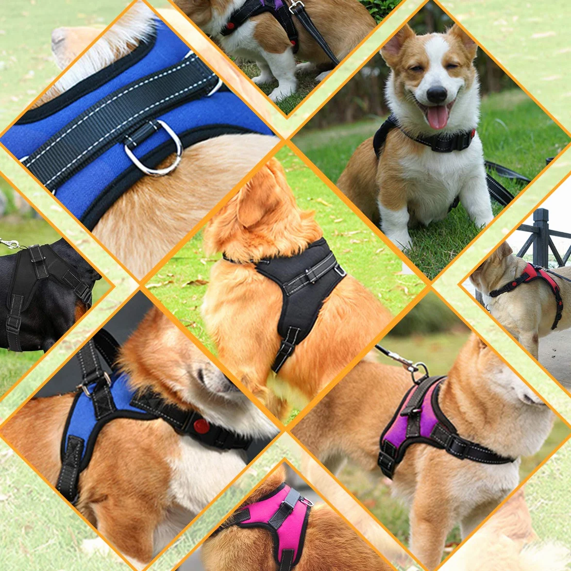 Harnais pour Chien sans Traction, Confort Réglable et Respirable, Laisse Incluse, pour Petit à Grand Chiens, Noir