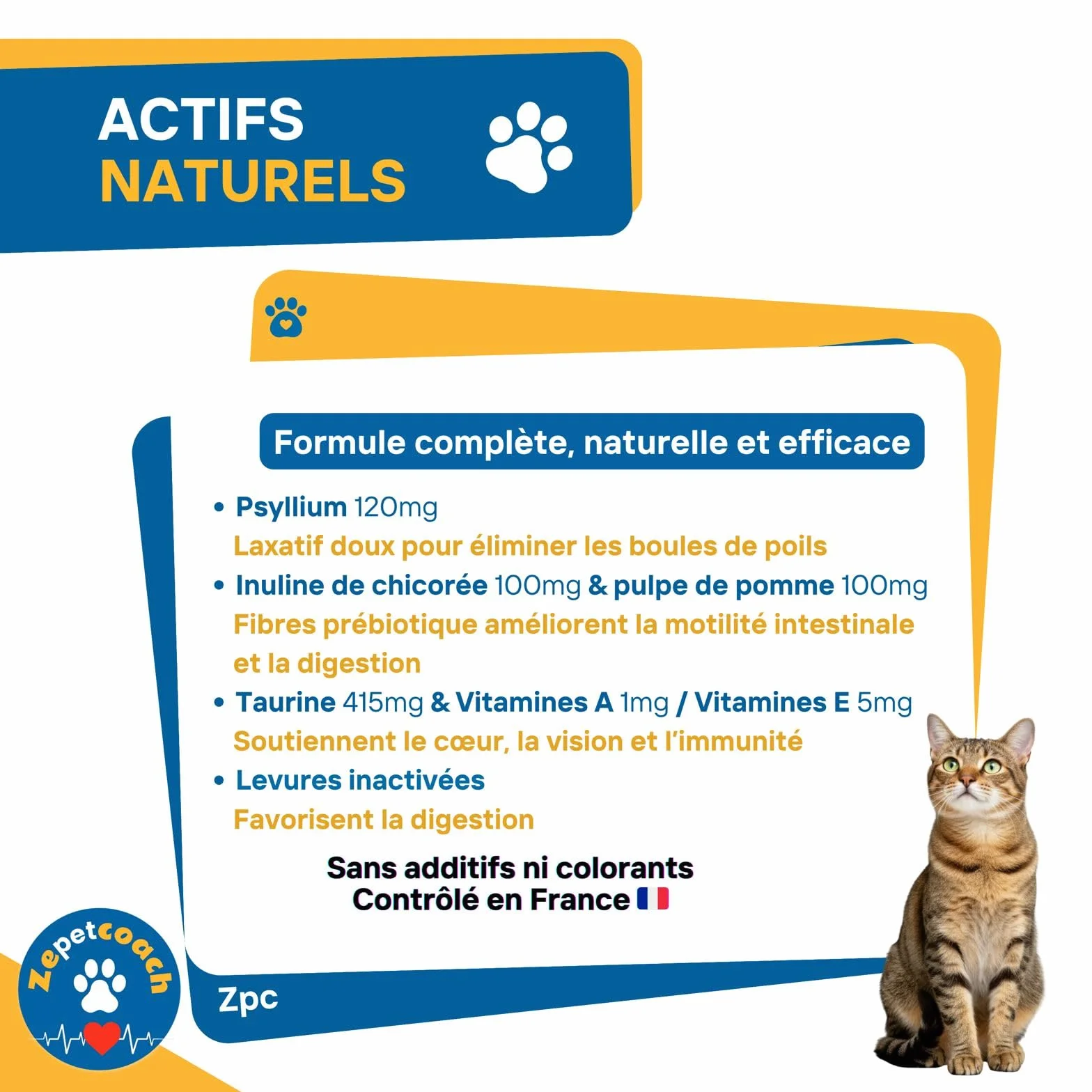 Complément Chat Anti Boules de Poils Psyllium Taurine Chicorée Naturel Saveur Volaille 250g